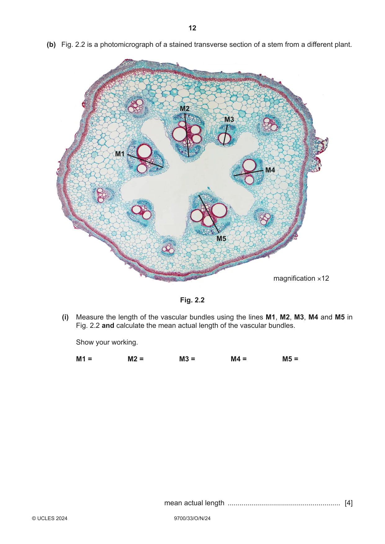 Cambridge A Level Biology 9700 2024 Oct/Nov Paper 3 · Variant 3 question paper, page 12 of 16