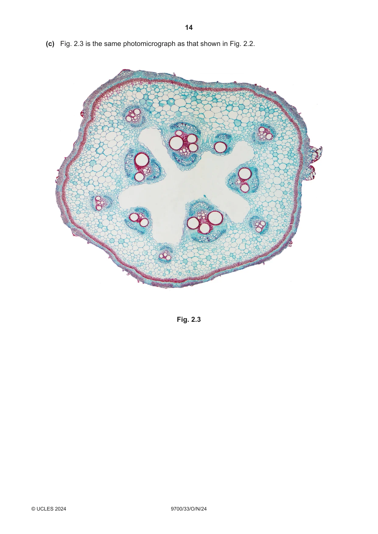 Cambridge A Level Biology 9700 2024 Oct/Nov Paper 3 · Variant 3 question paper, page 14 of 16