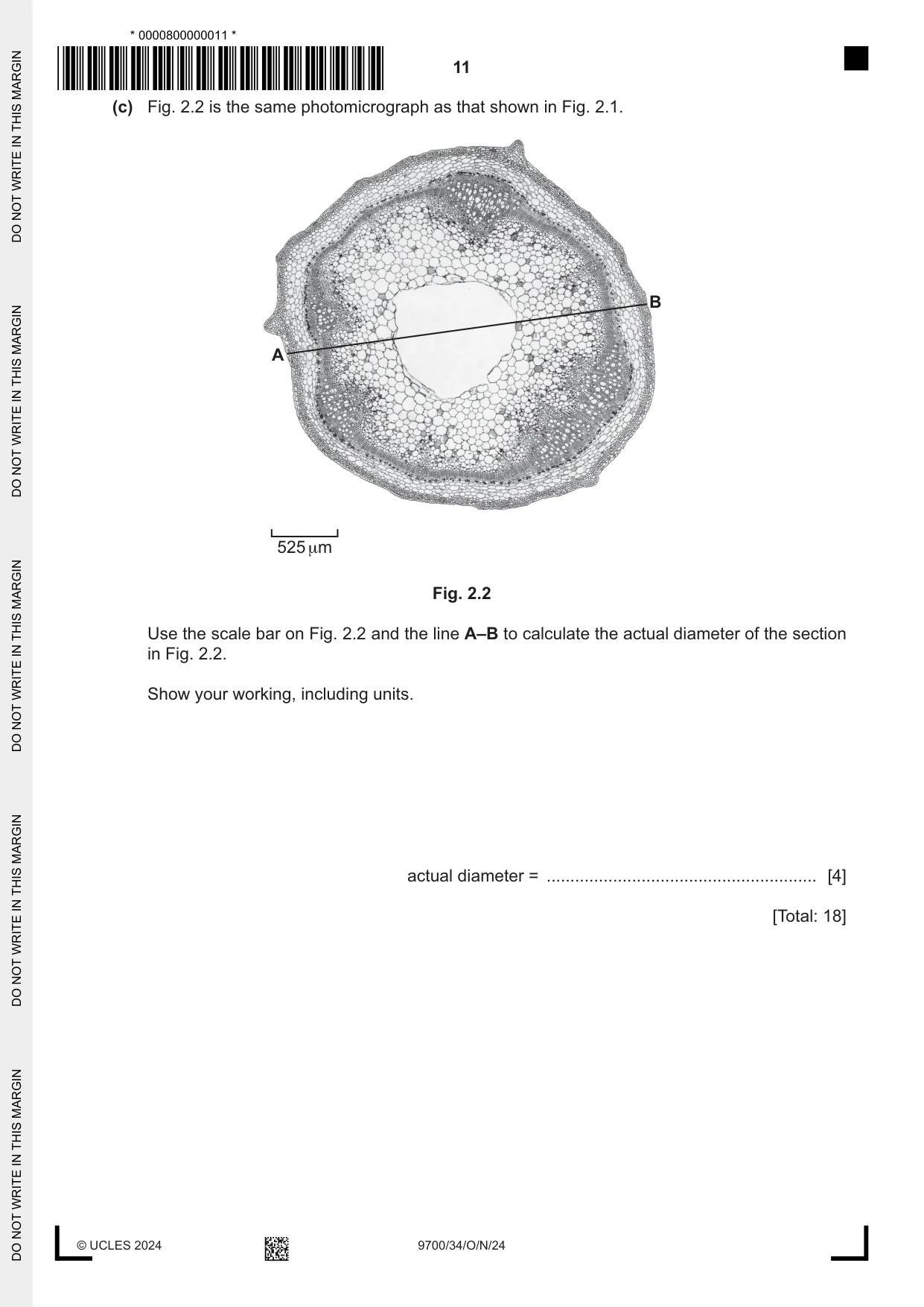 Cambridge A Level Biology 9700 2024 Oct/Nov Paper 3 · Variant 4 question paper, page 11 of 12