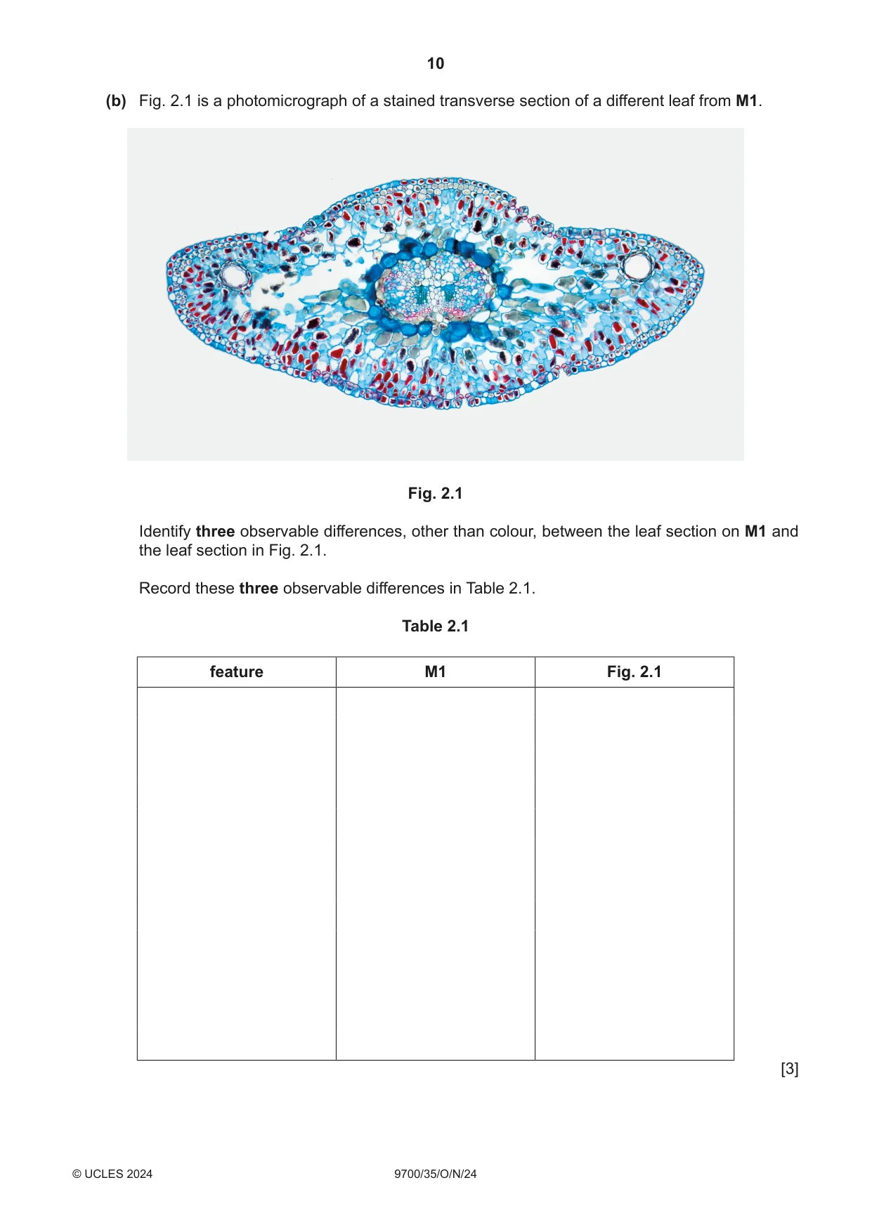 Cambridge A Level Biology 9700 2024 Oct/Nov Paper 3 · Variant 5 question paper, page 10 of 12