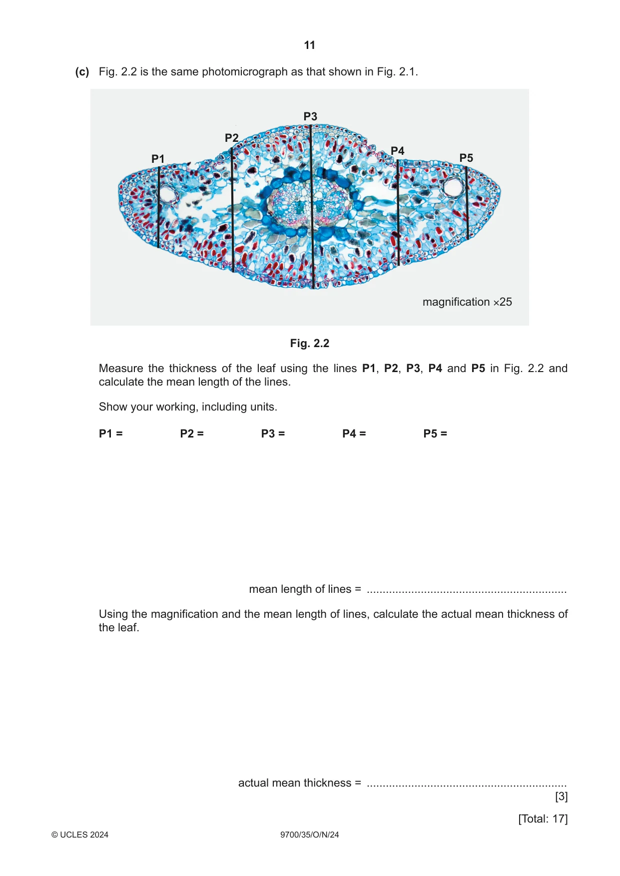 Cambridge A Level Biology 9700 2024 Oct/Nov Paper 3 · Variant 5 question paper, page 11 of 12