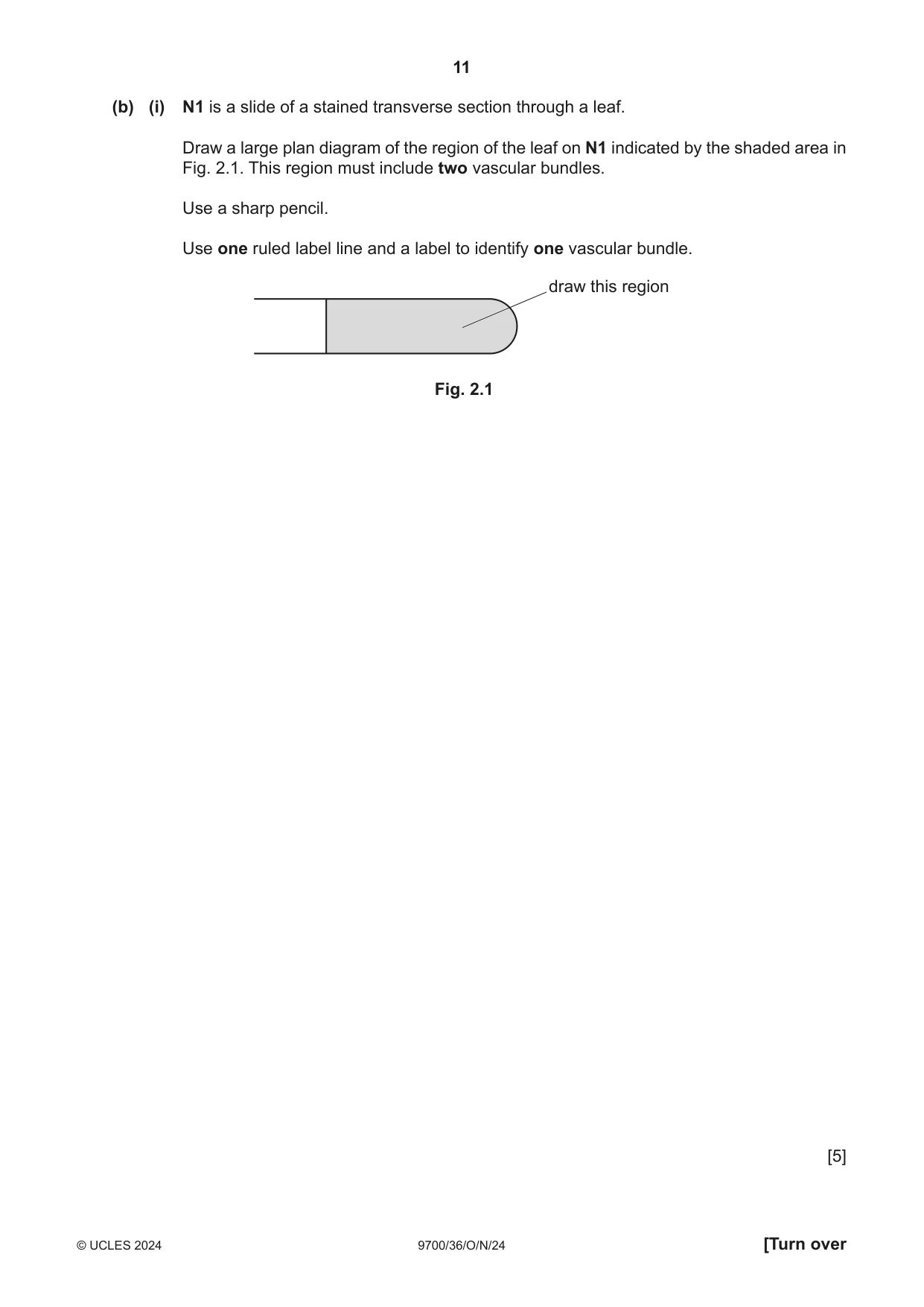 Cambridge A Level Biology 9700 2024 Oct/Nov Paper 3 · Variant 6 question paper, page 11 of 16