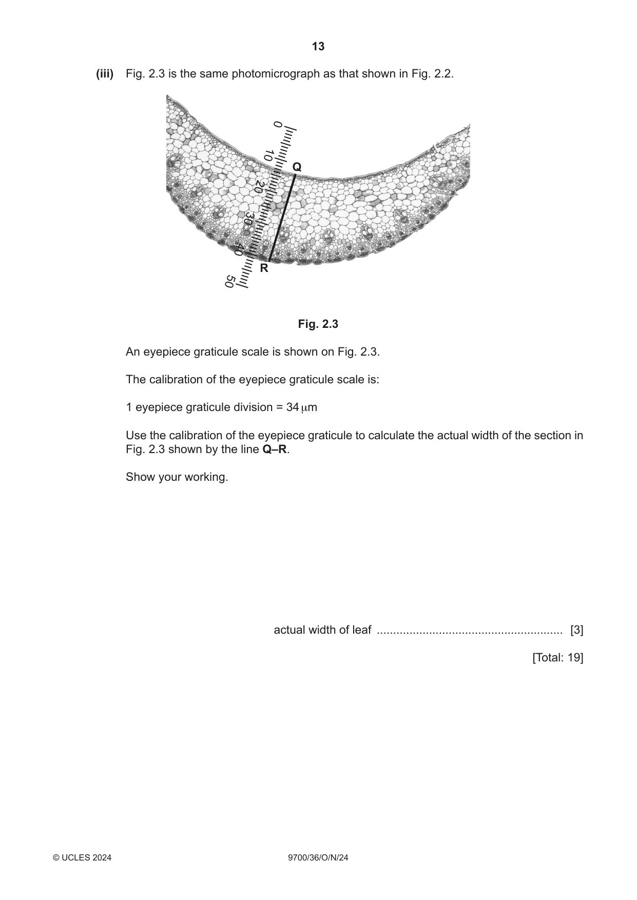 Cambridge A Level Biology 9700 2024 Oct/Nov Paper 3 · Variant 6 question paper, page 13 of 16