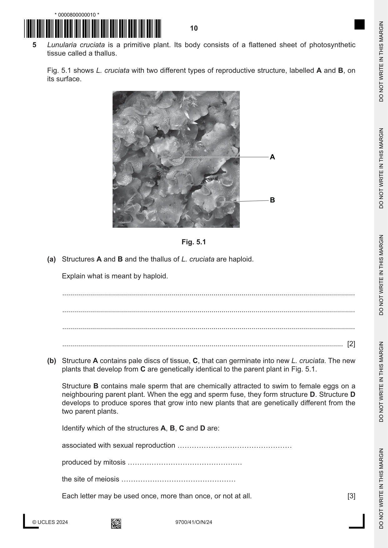 Cambridge A Level Biology 9700 2024 Oct/Nov Paper 4 · Variant 1 question paper, page 10 of 24