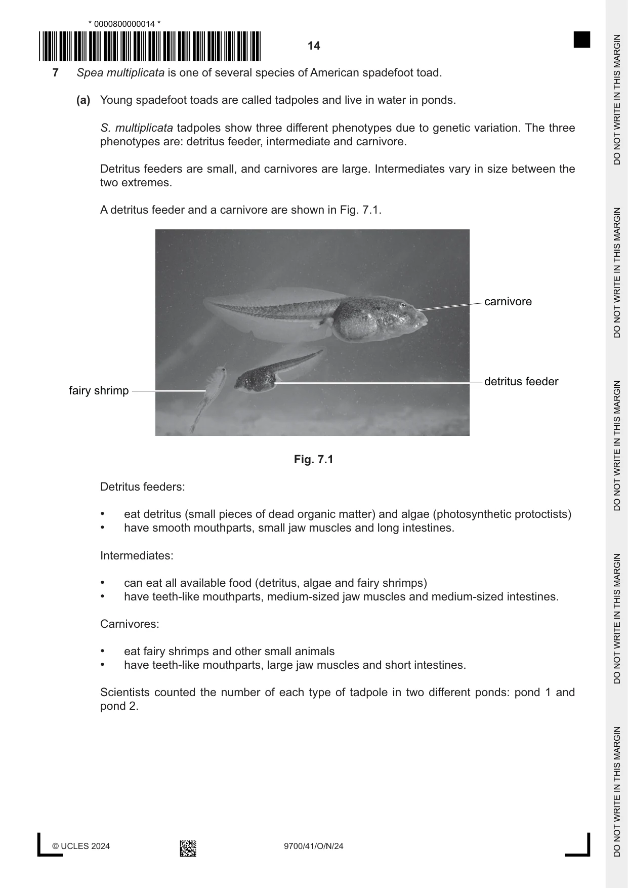 Cambridge A Level Biology 9700 2024 Oct/Nov Paper 4 · Variant 1 question paper, page 14 of 24