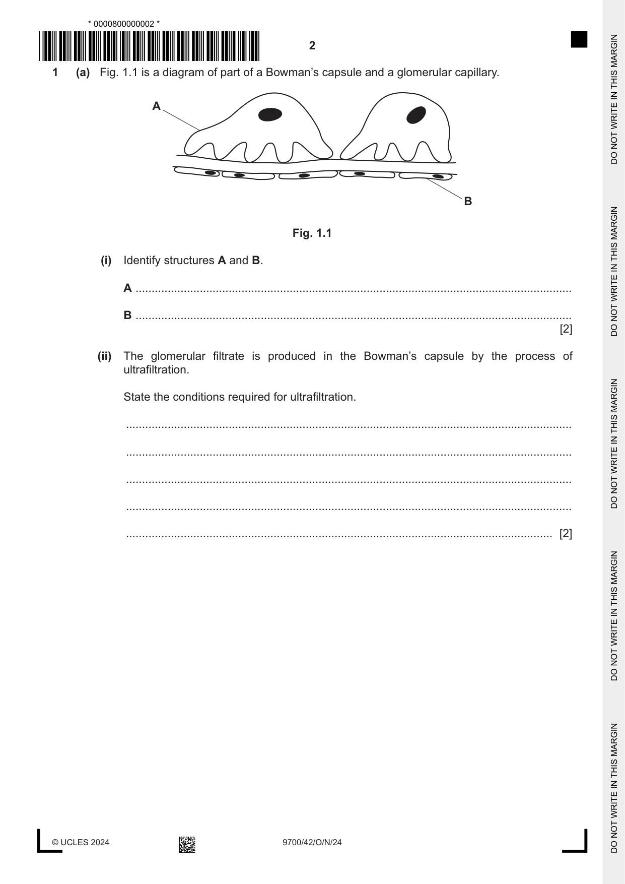 Cambridge A Level Biology 9700 2024 Oct/Nov Paper 4 · Variant 2 question paper, page 2 of 24