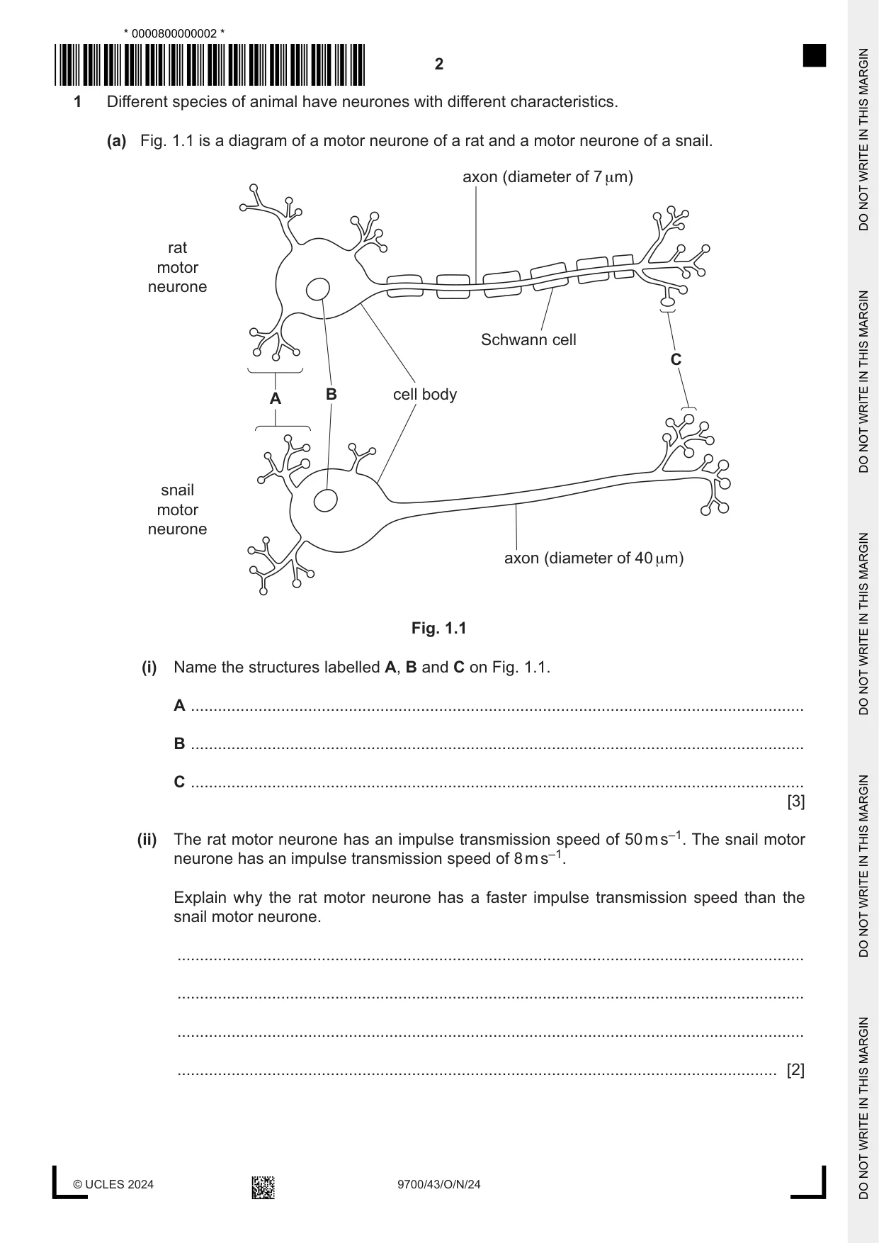 Cambridge A Level Biology 9700 2024 Oct/Nov Paper 4 · Variant 3 question paper, page 2 of 24