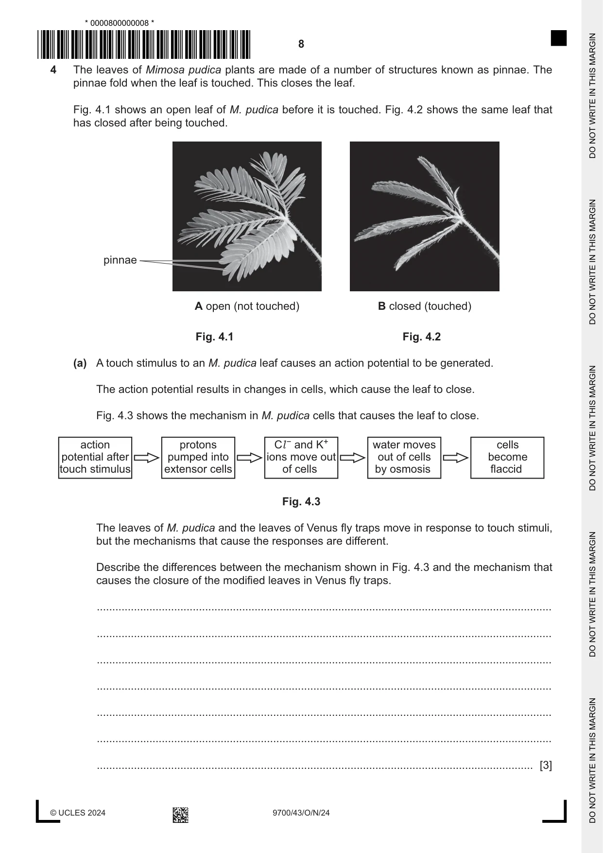 Cambridge A Level Biology 9700 2024 Oct/Nov Paper 4 · Variant 3 question paper, page 8 of 24