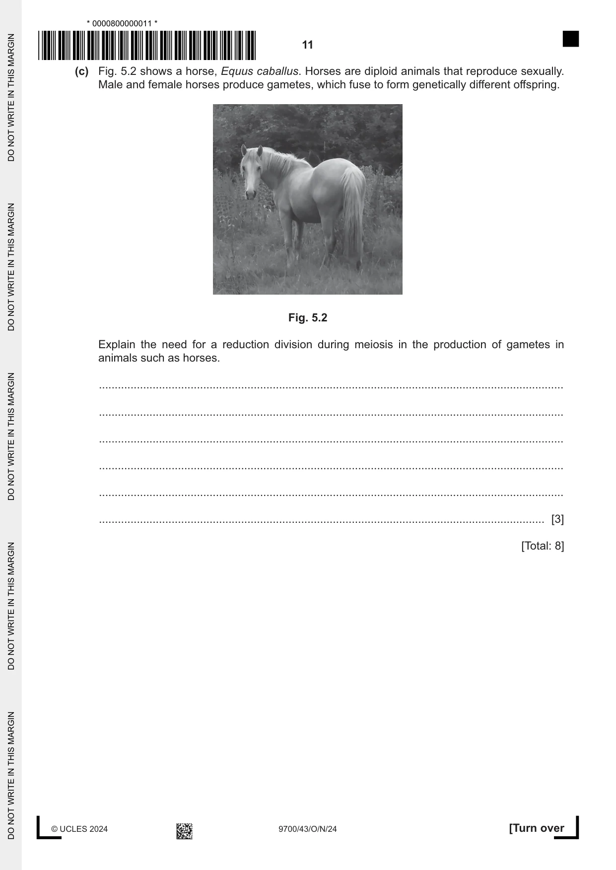 Cambridge A Level Biology 9700 2024 Oct/Nov Paper 4 · Variant 3 question paper, page 11 of 24