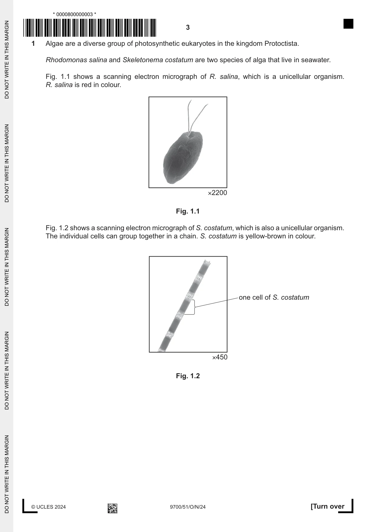 Cambridge A Level Biology 9700 2024 Oct/Nov Paper 5 · Variant 1 question paper, page 3 of 16