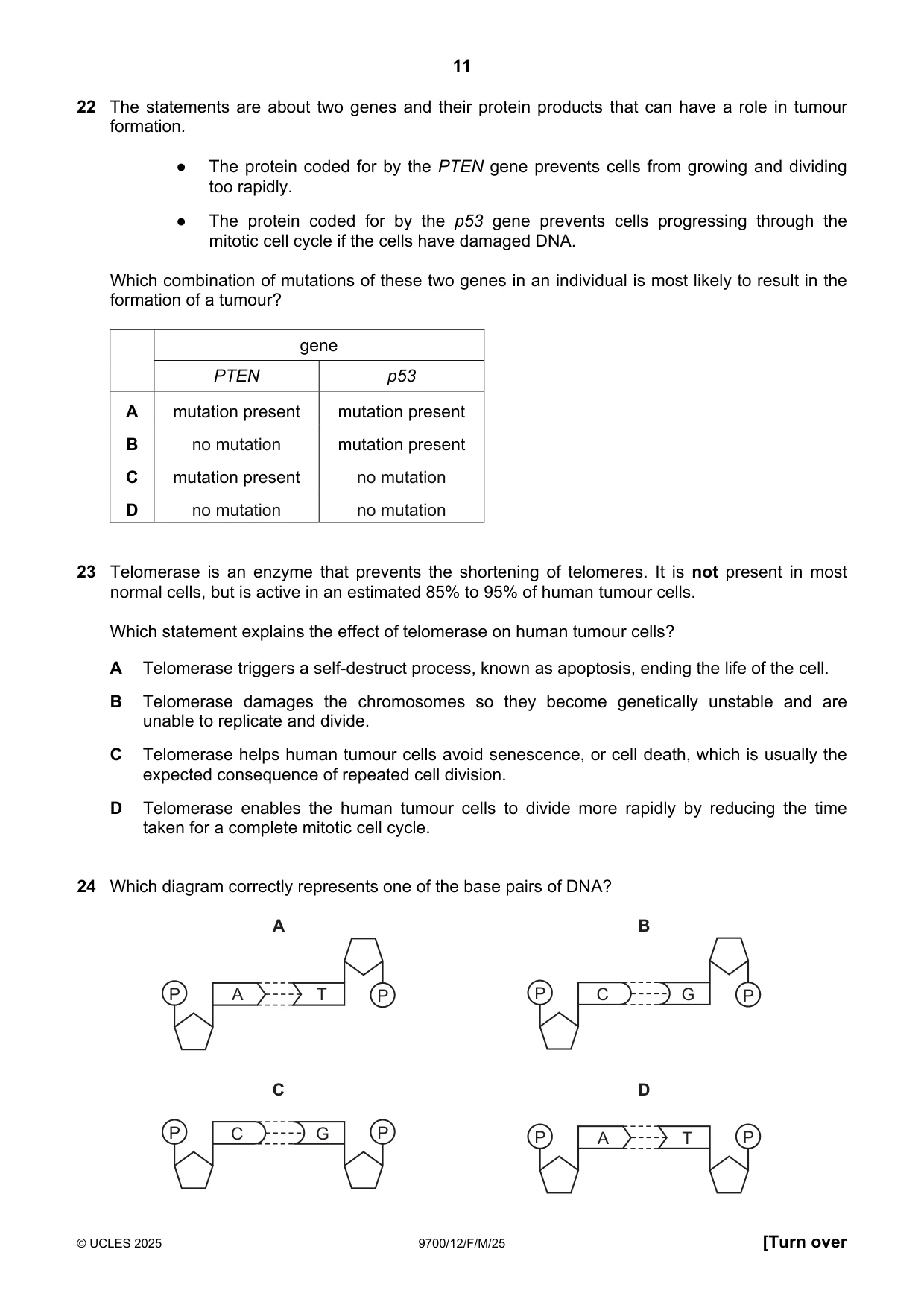 Cambridge A Level Biology 9700 2025 Feb/March Paper 1 · Variant 2 question paper, page 11 of 16