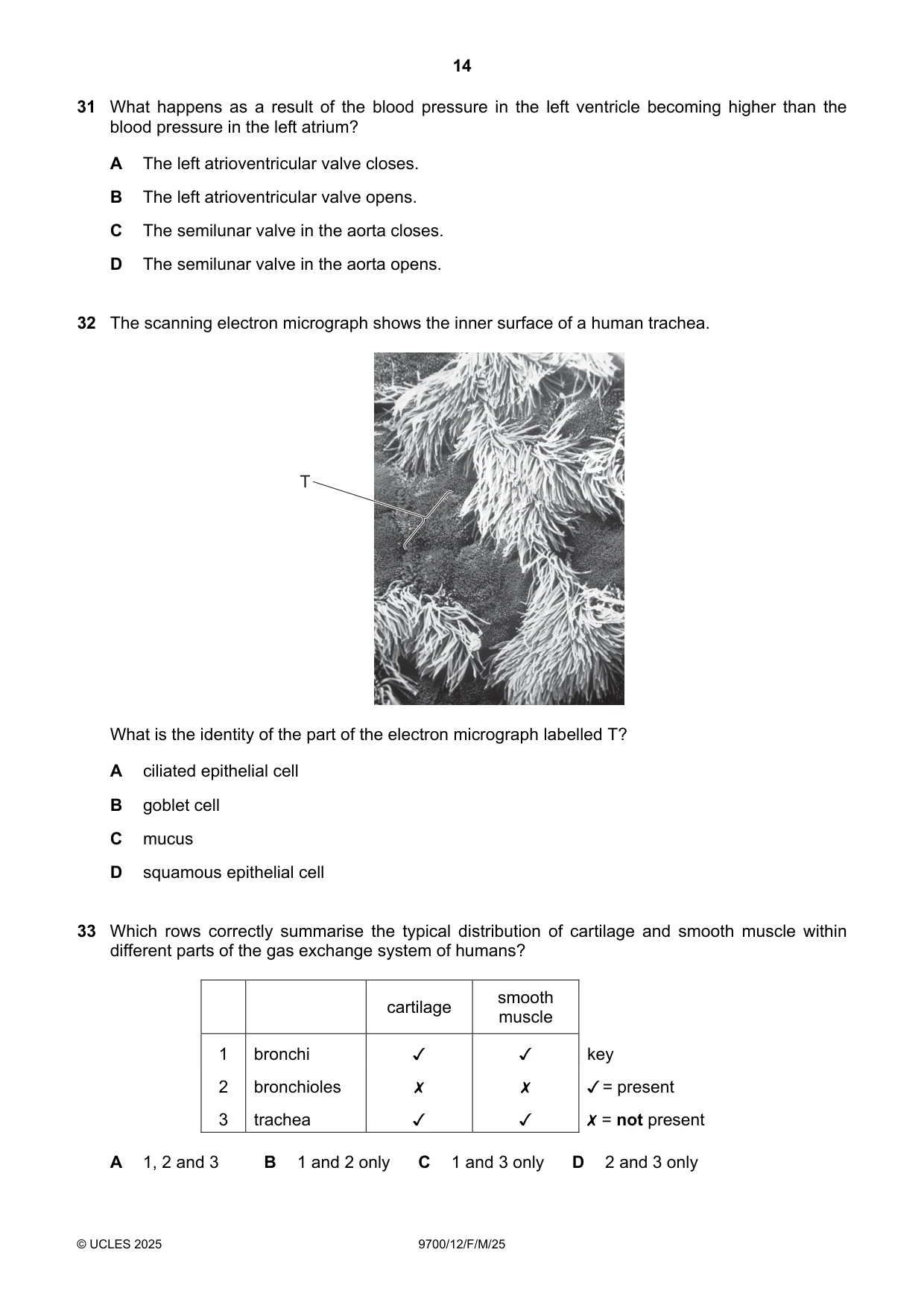 Cambridge A Level Biology 9700 2025 Feb/March Paper 1 · Variant 2 question paper, page 14 of 16