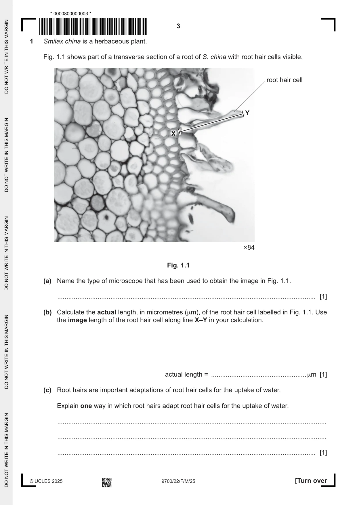 Cambridge A Level Biology 9700 2025 Feb/March Paper 2 · Variant 2 question paper, page 3 of 24