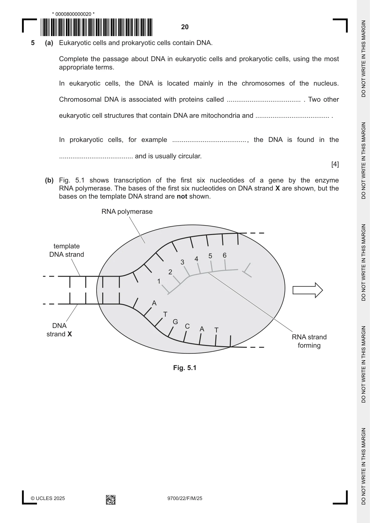 Cambridge A Level Biology 9700 2025 Feb/March Paper 2 · Variant 2 question paper, page 20 of 24