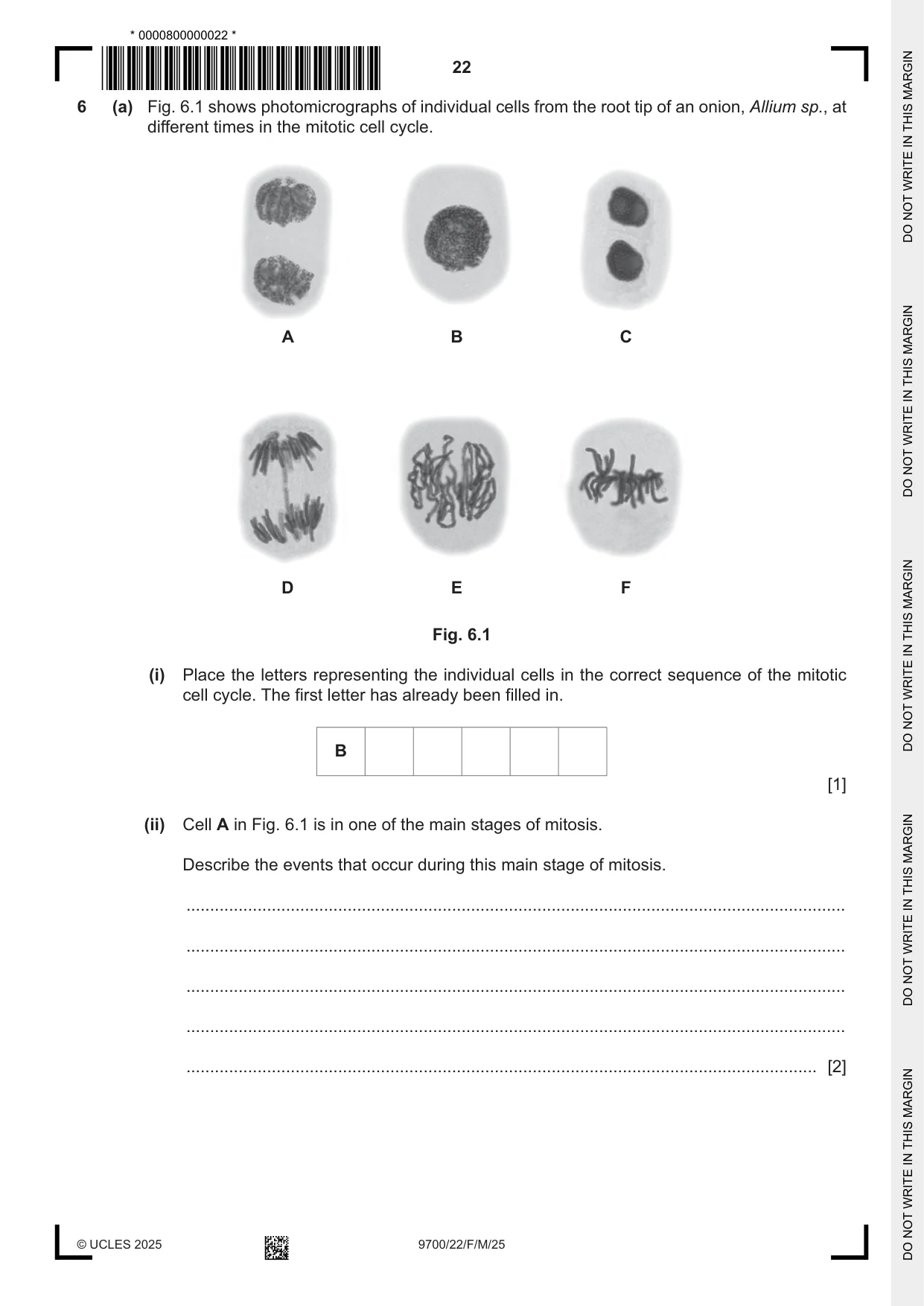 Cambridge A Level Biology 9700 2025 Feb/March Paper 2 · Variant 2 question paper, page 22 of 24