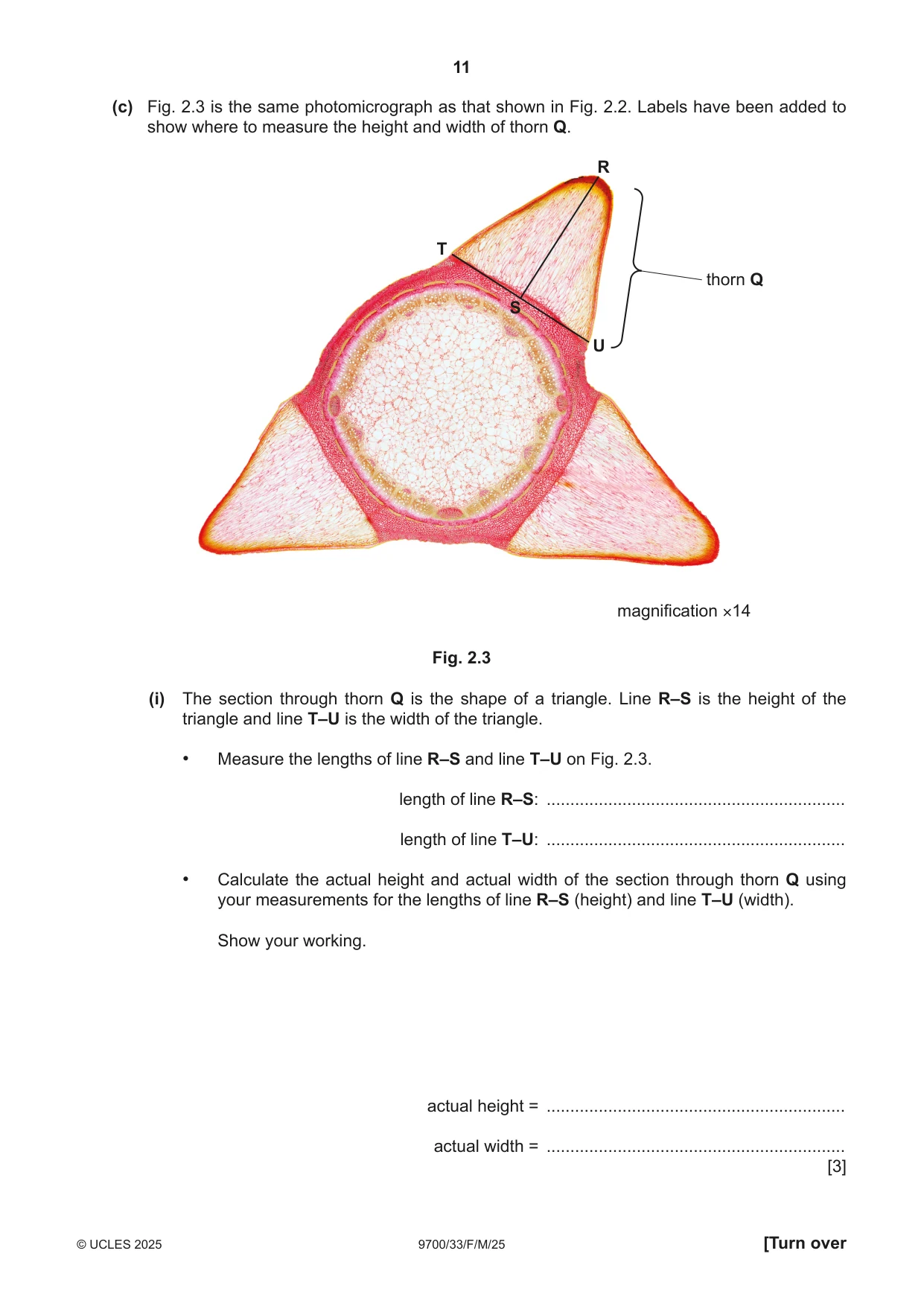 Cambridge A Level Biology 9700 2025 Feb/March Paper 3 · Variant 3 question paper, page 11 of 12