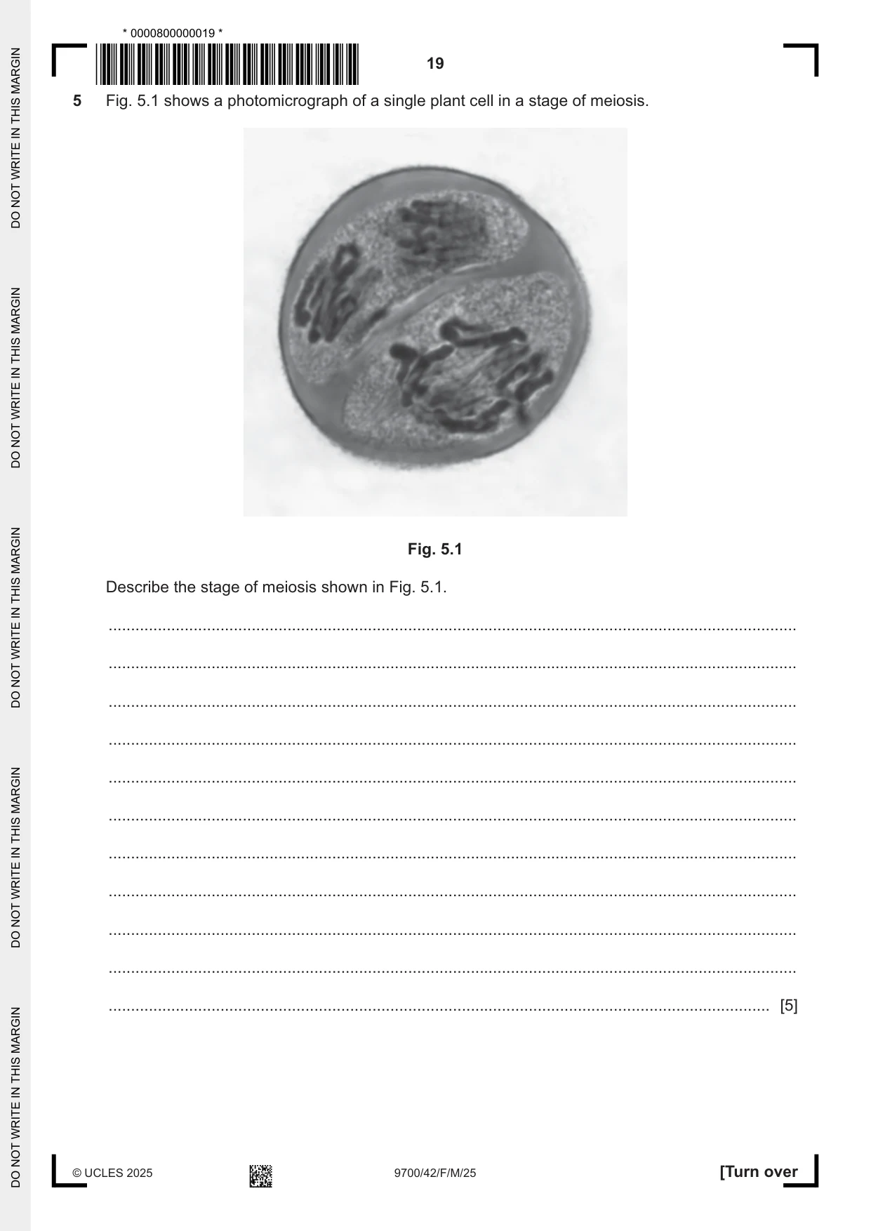 Cambridge A Level Biology 9700 2025 Feb/March Paper 4 · Variant 2 question paper, page 19 of 32