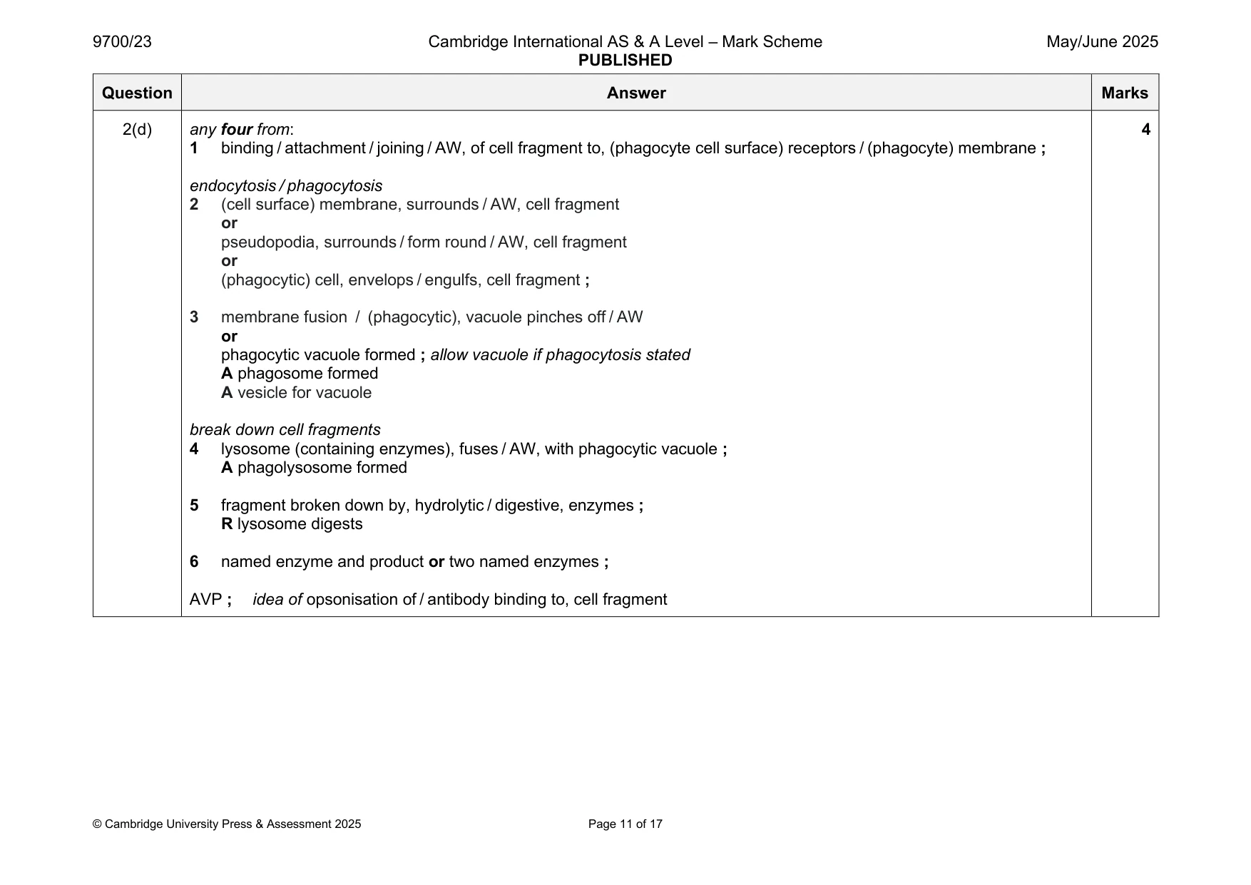 Mark scheme, page 11 of 17