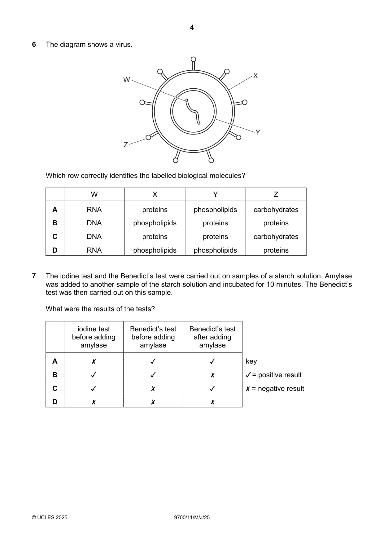 Cambridge A Level Biology 9700 2025 May/June Paper 1 · Variant 1 question paper, page 4 of 16