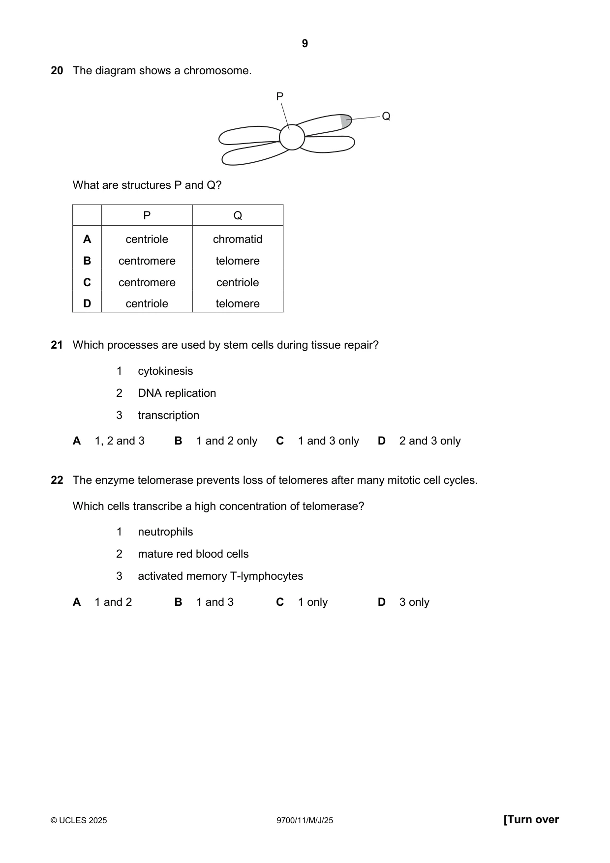 Cambridge A Level Biology 9700 2025 May/June Paper 1 · Variant 1 question paper, page 9 of 16