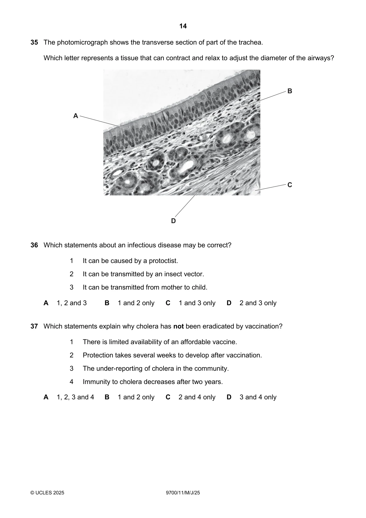 Cambridge A Level Biology 9700 2025 May/June Paper 1 · Variant 1 question paper, page 14 of 16