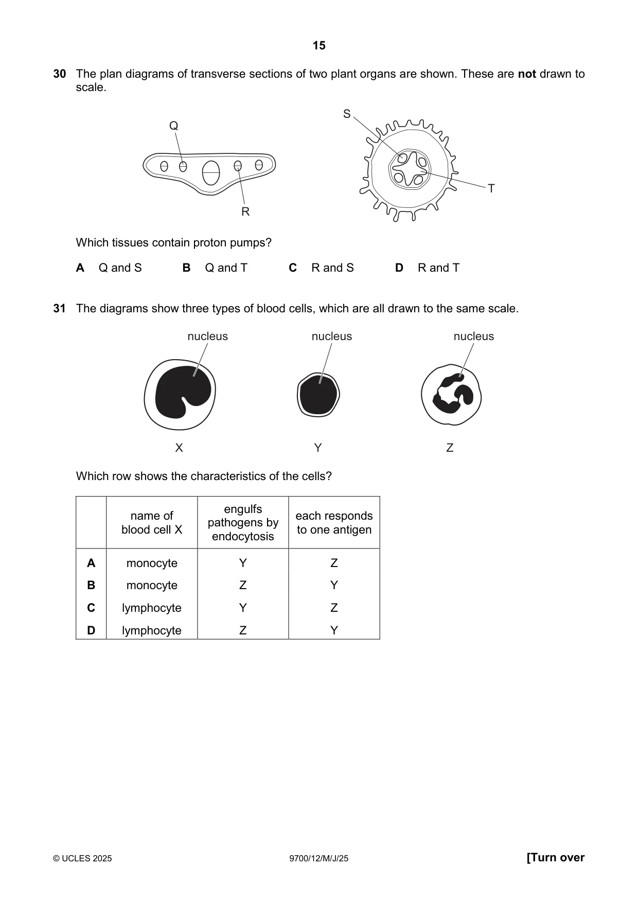 Cambridge A Level Biology 9700 2025 May/June Paper 1 · Variant 2 question paper, page 15 of 20