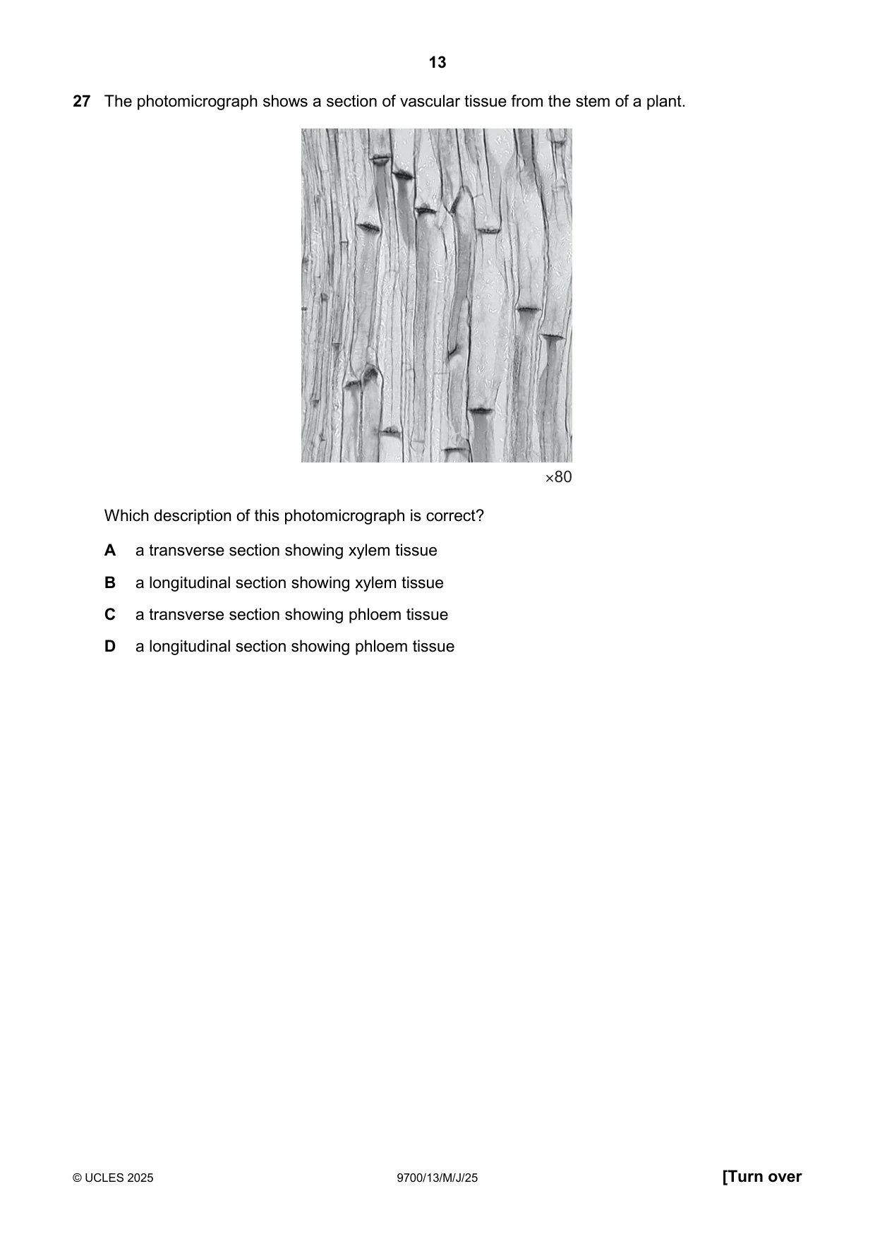 Cambridge A Level Biology 9700 2025 May/June Paper 1 · Variant 3 question paper, page 13 of 20