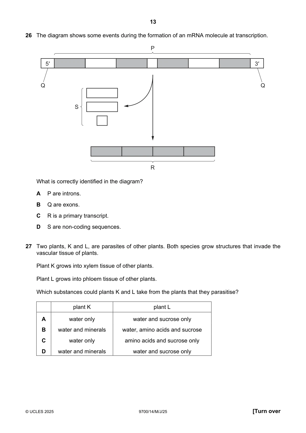 Cambridge A Level Biology 9700 2025 May/June Paper 1 · Variant 4 question paper, page 13 of 20