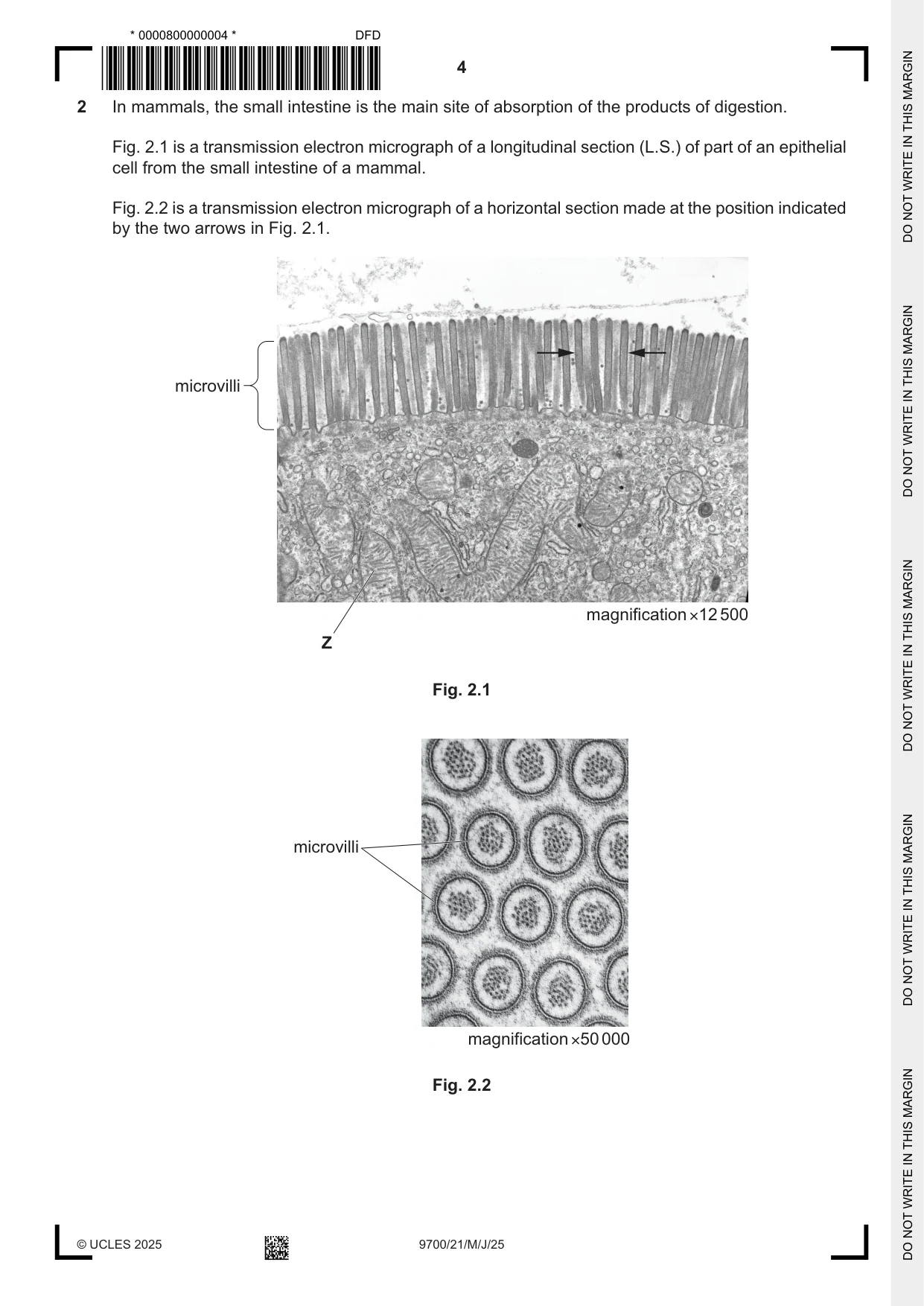Cambridge A Level Biology 9700 2025 May/June Paper 2 · Variant 1 question paper, page 4 of 20