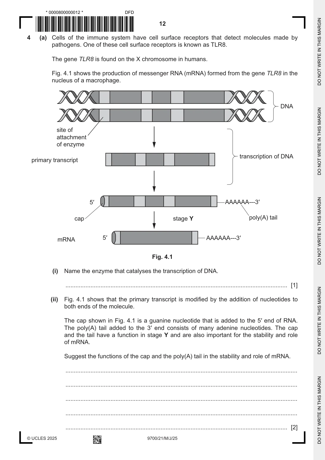 Cambridge A Level Biology 9700 2025 May/June Paper 2 · Variant 1 question paper, page 12 of 20