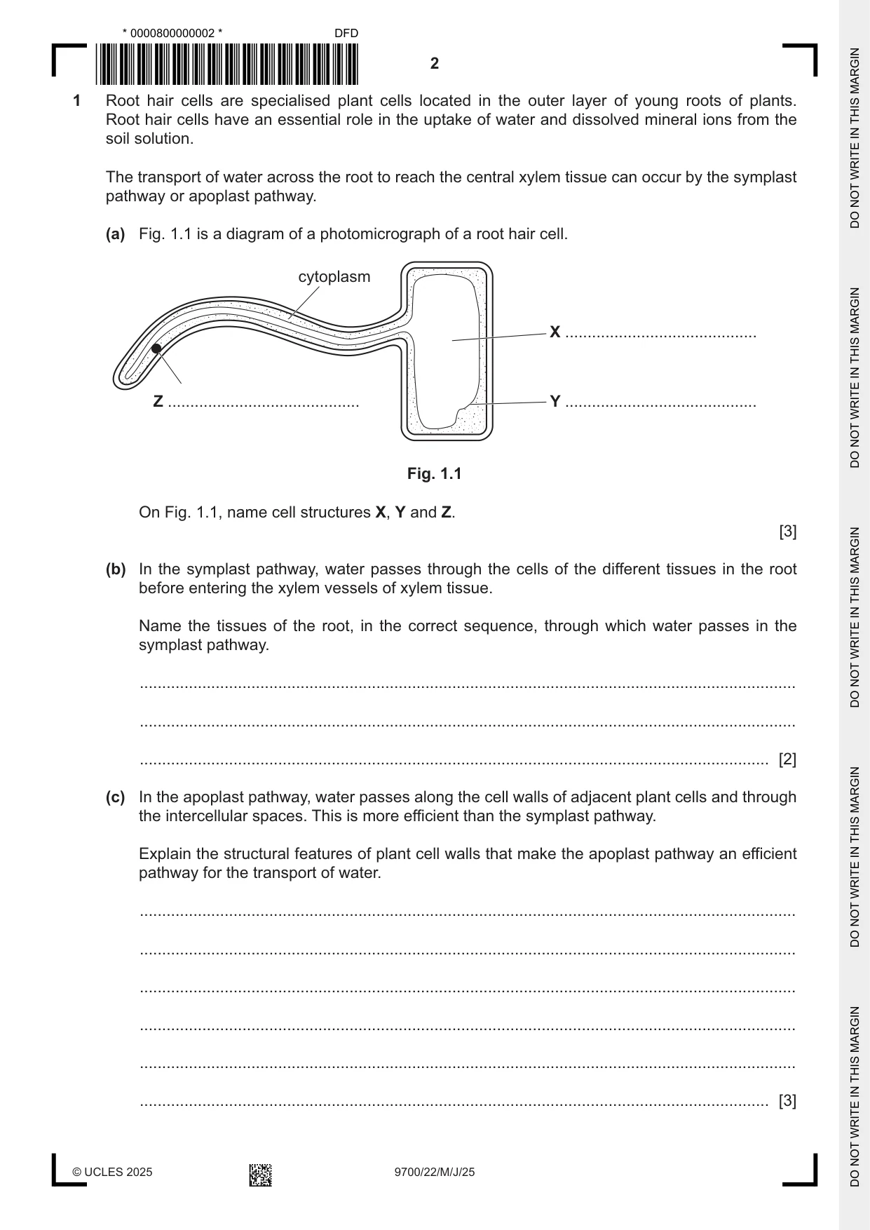 Cambridge A Level Biology 9700 2025 May/June Paper 2 · Variant 2 question paper, page 2 of 16