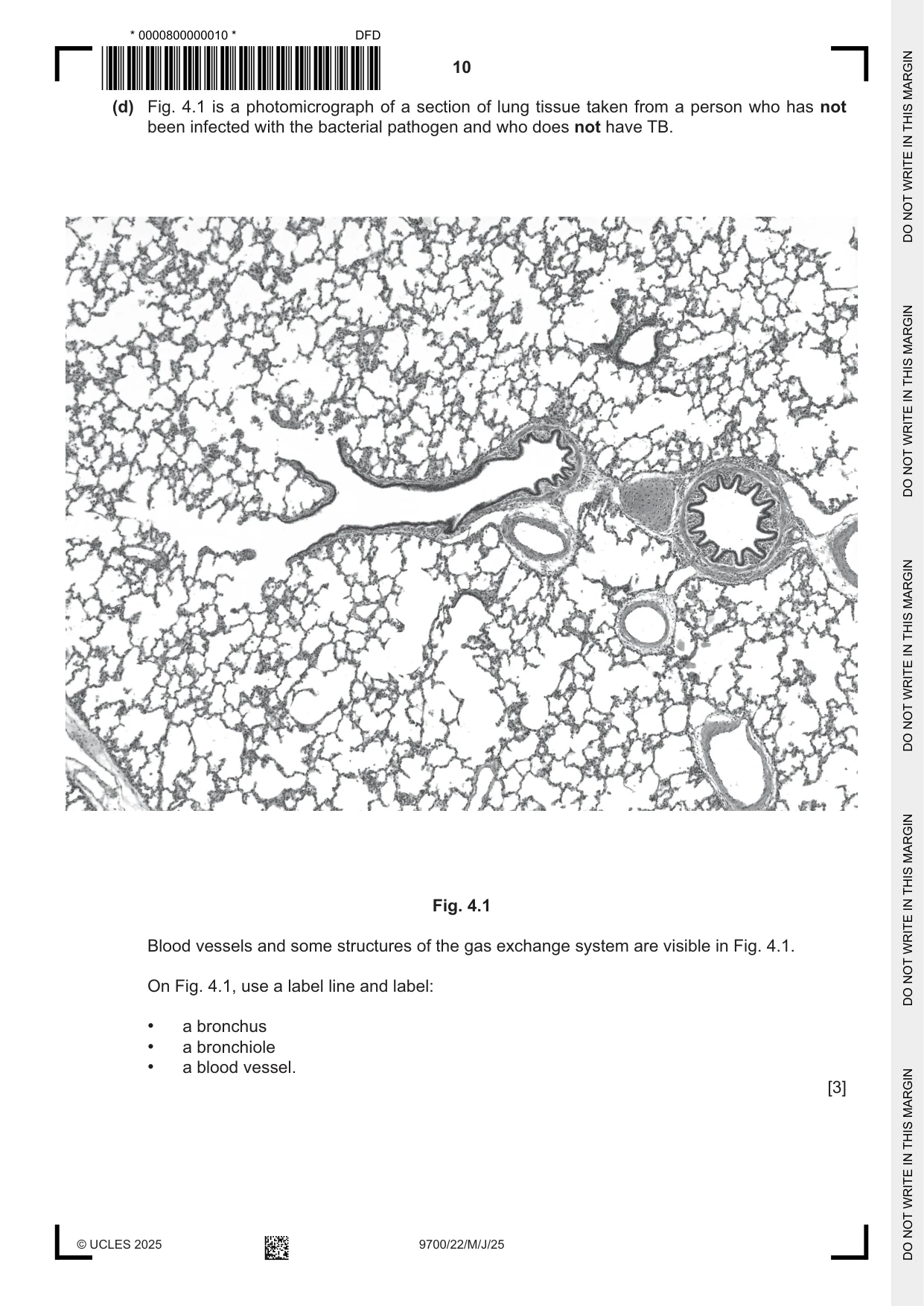 Cambridge A Level Biology 9700 2025 May/June Paper 2 · Variant 2 question paper, page 10 of 16
