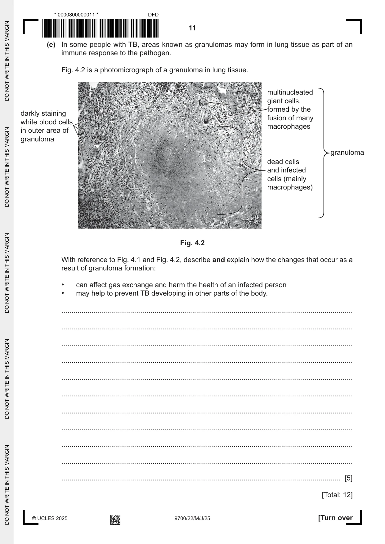 Cambridge A Level Biology 9700 2025 May/June Paper 2 · Variant 2 question paper, page 11 of 16