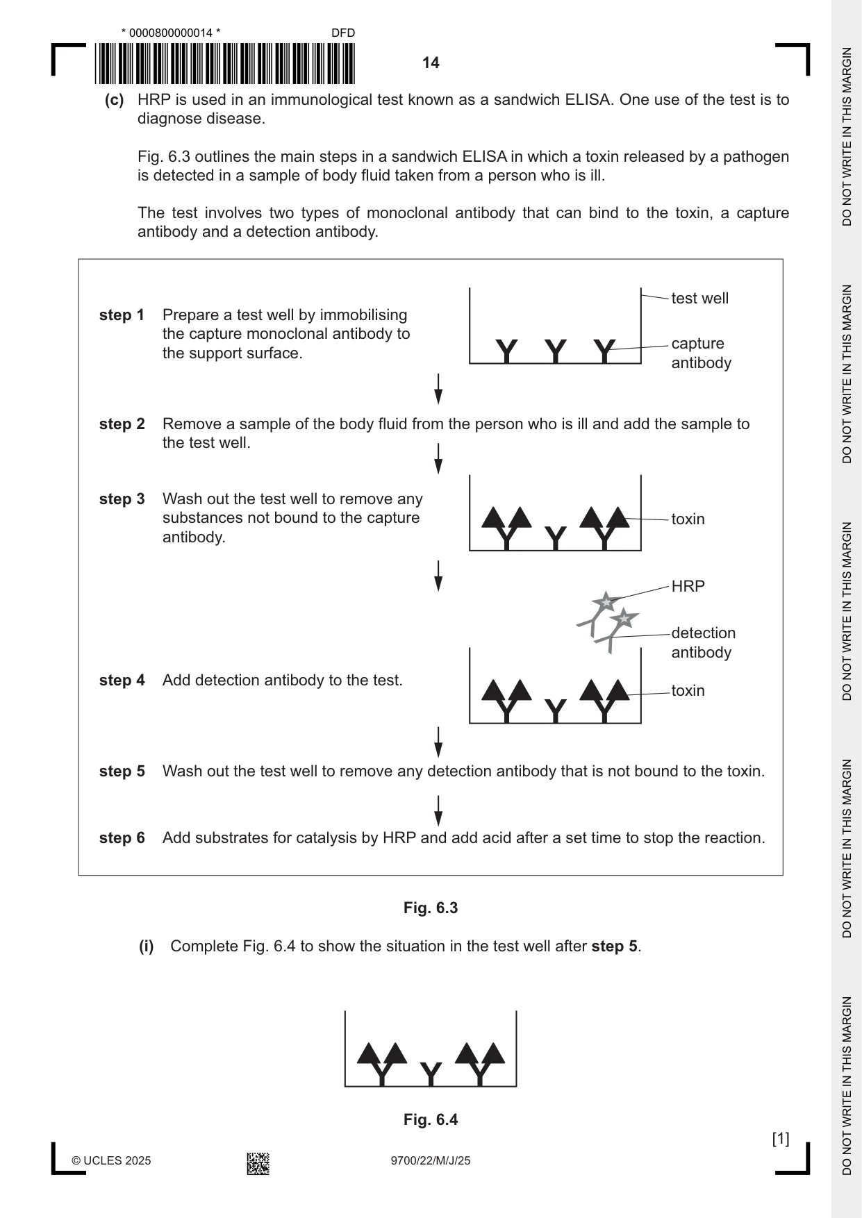 Cambridge A Level Biology 9700 2025 May/June Paper 2 · Variant 2 question paper, page 14 of 16