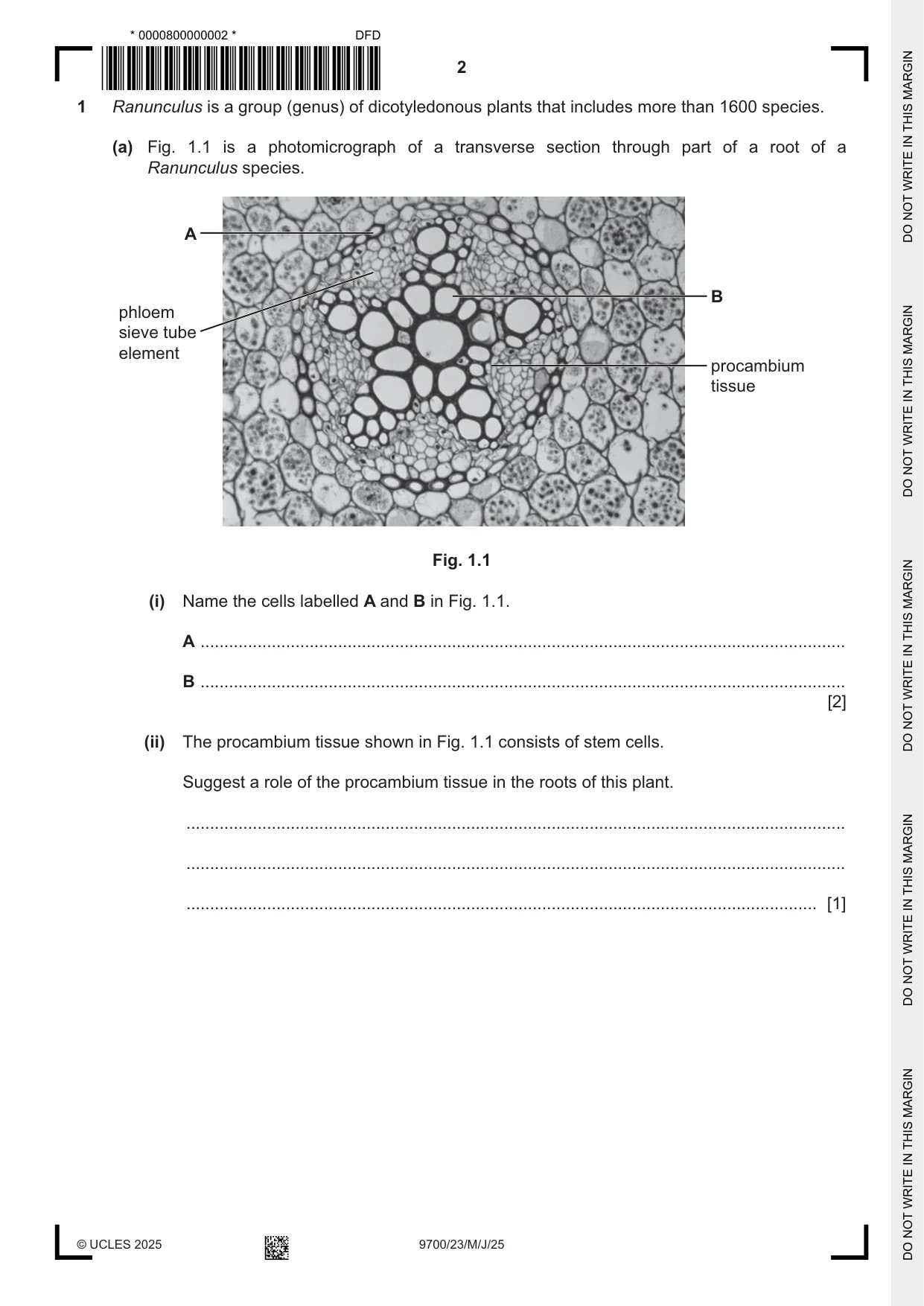 Cambridge A Level Biology 9700 2025 May/June Paper 2 · Variant 3 question paper, page 2 of 16