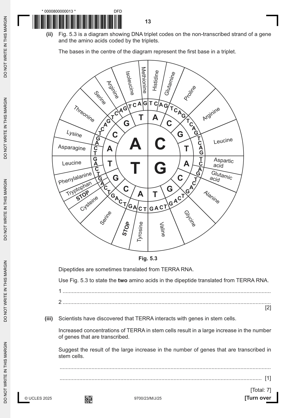 Cambridge A Level Biology 9700 2025 May/June Paper 2 · Variant 3 question paper, page 13 of 16