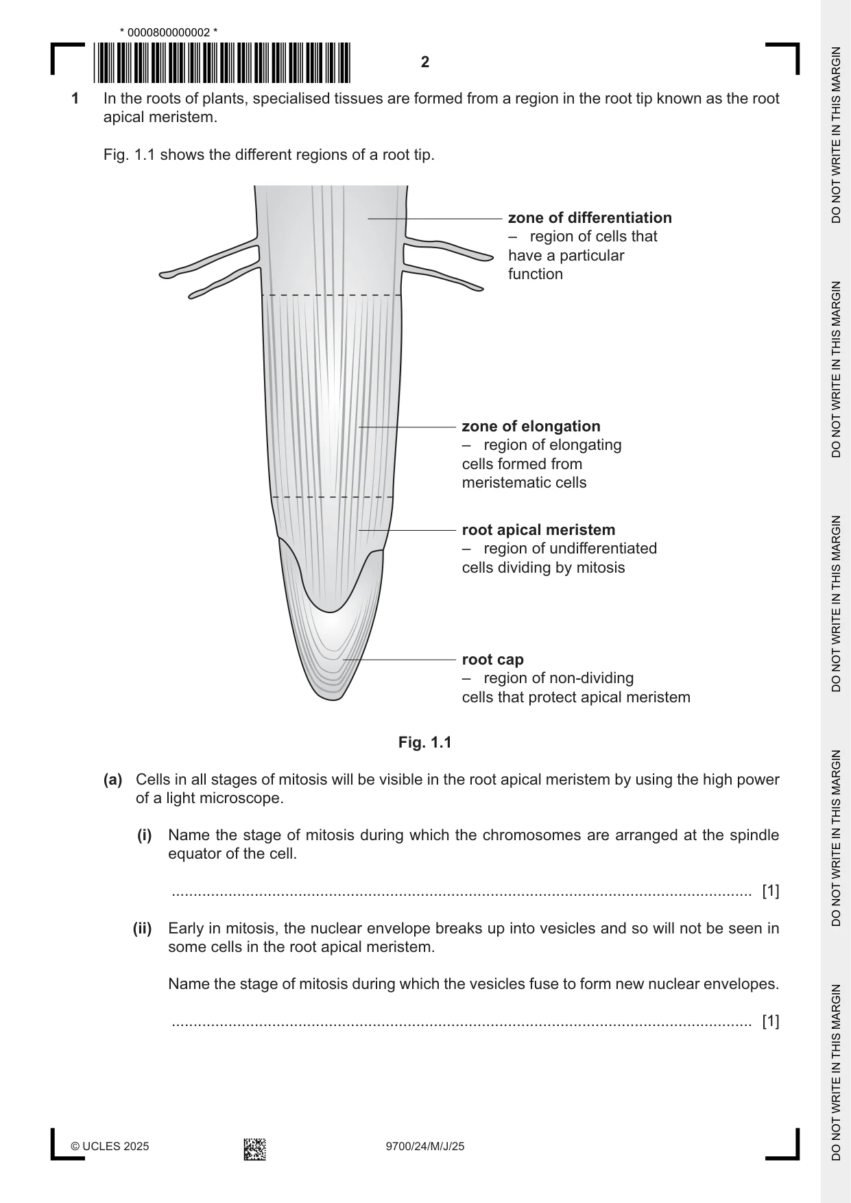 Cambridge A Level Biology 9700 2025 May/June Paper 2 · Variant 4 question paper, page 2 of 16