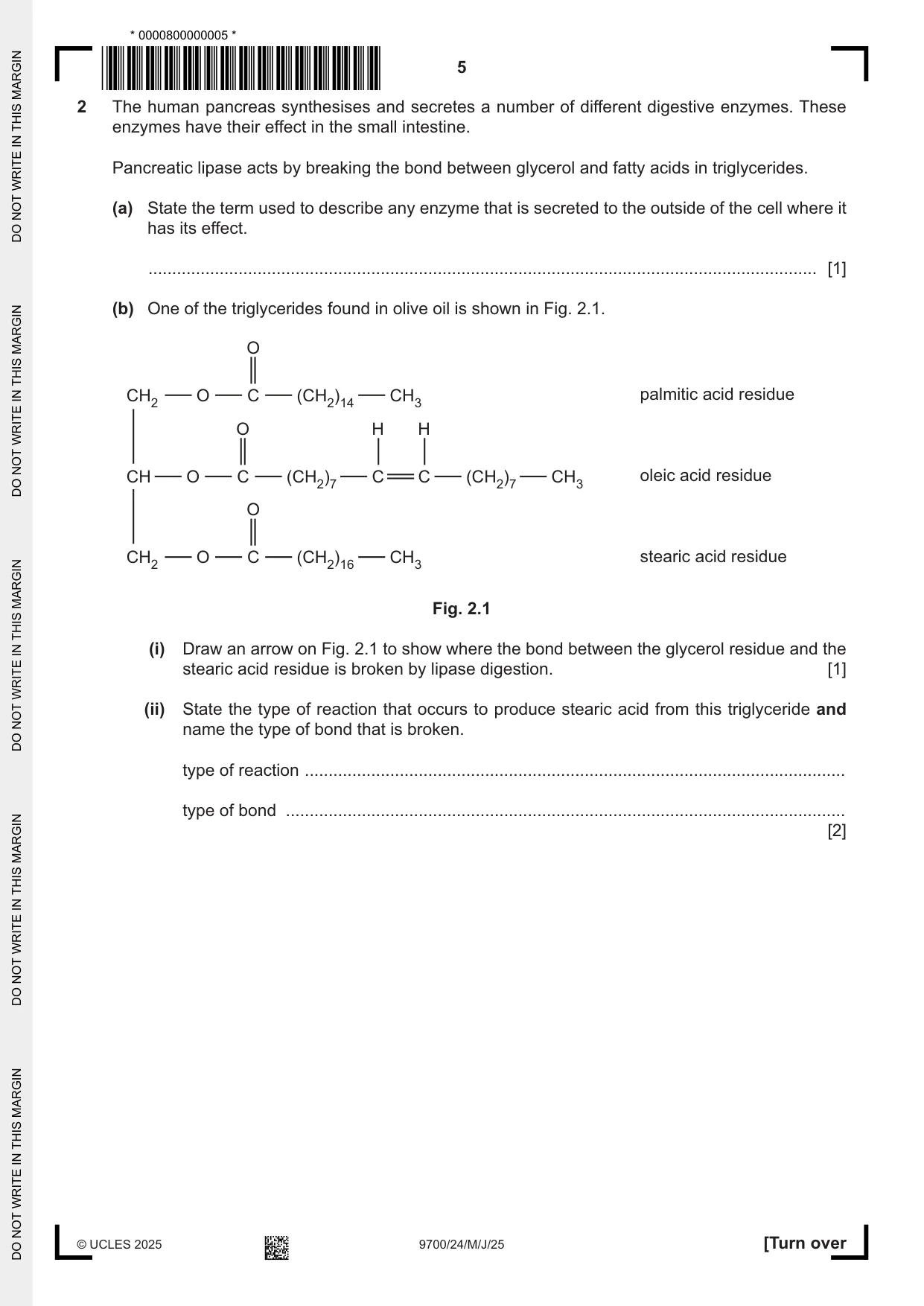 Cambridge A Level Biology 9700 2025 May/June Paper 2 · Variant 4 question paper, page 5 of 16