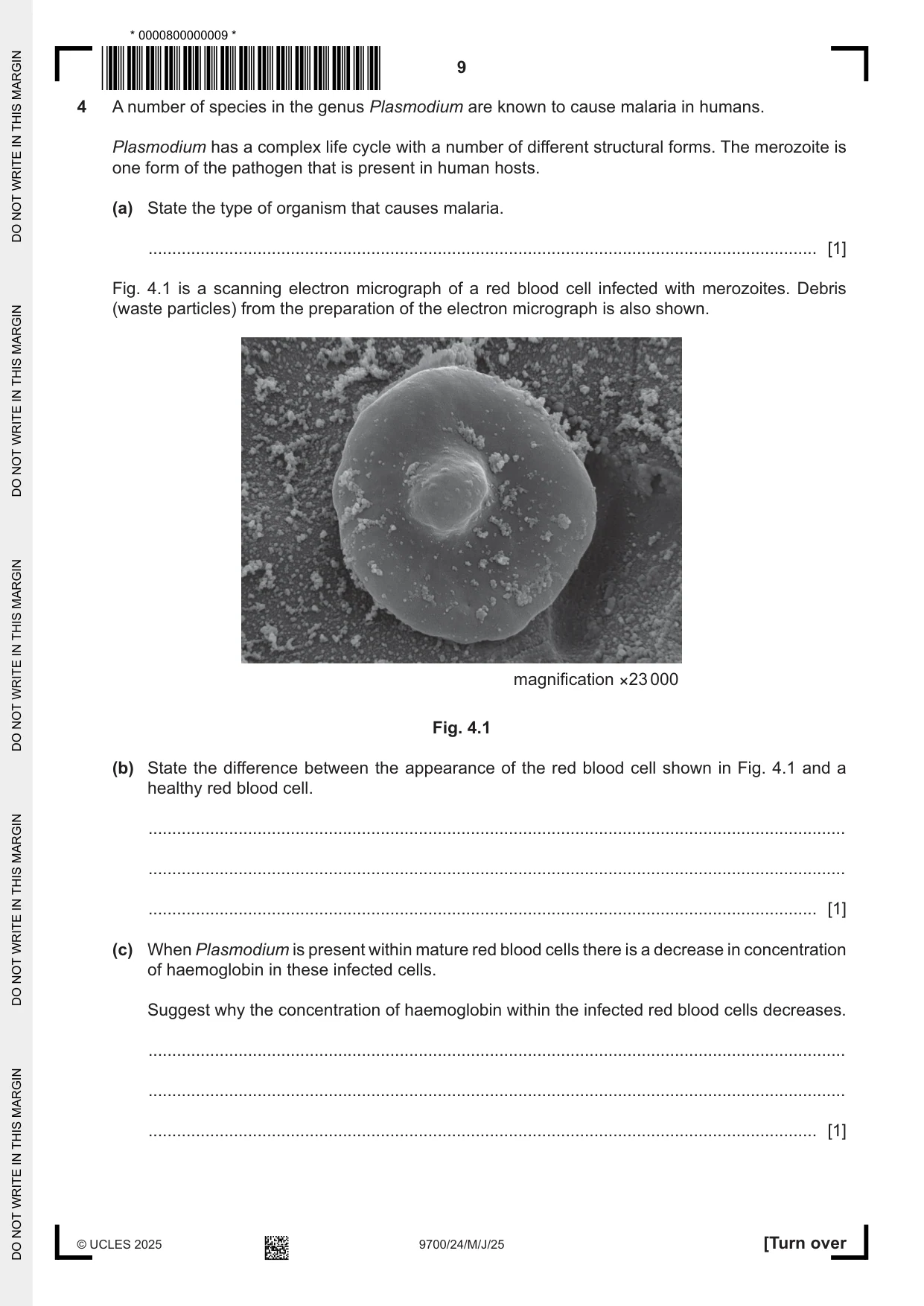 Cambridge A Level Biology 9700 2025 May/June Paper 2 · Variant 4 question paper, page 9 of 16