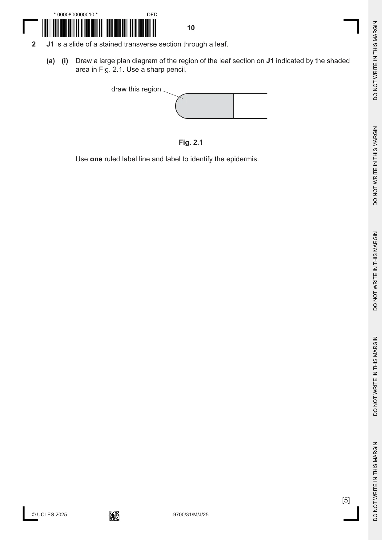Cambridge A Level Biology 9700 2025 May/June Paper 3 · Variant 1 question paper, page 10 of 16