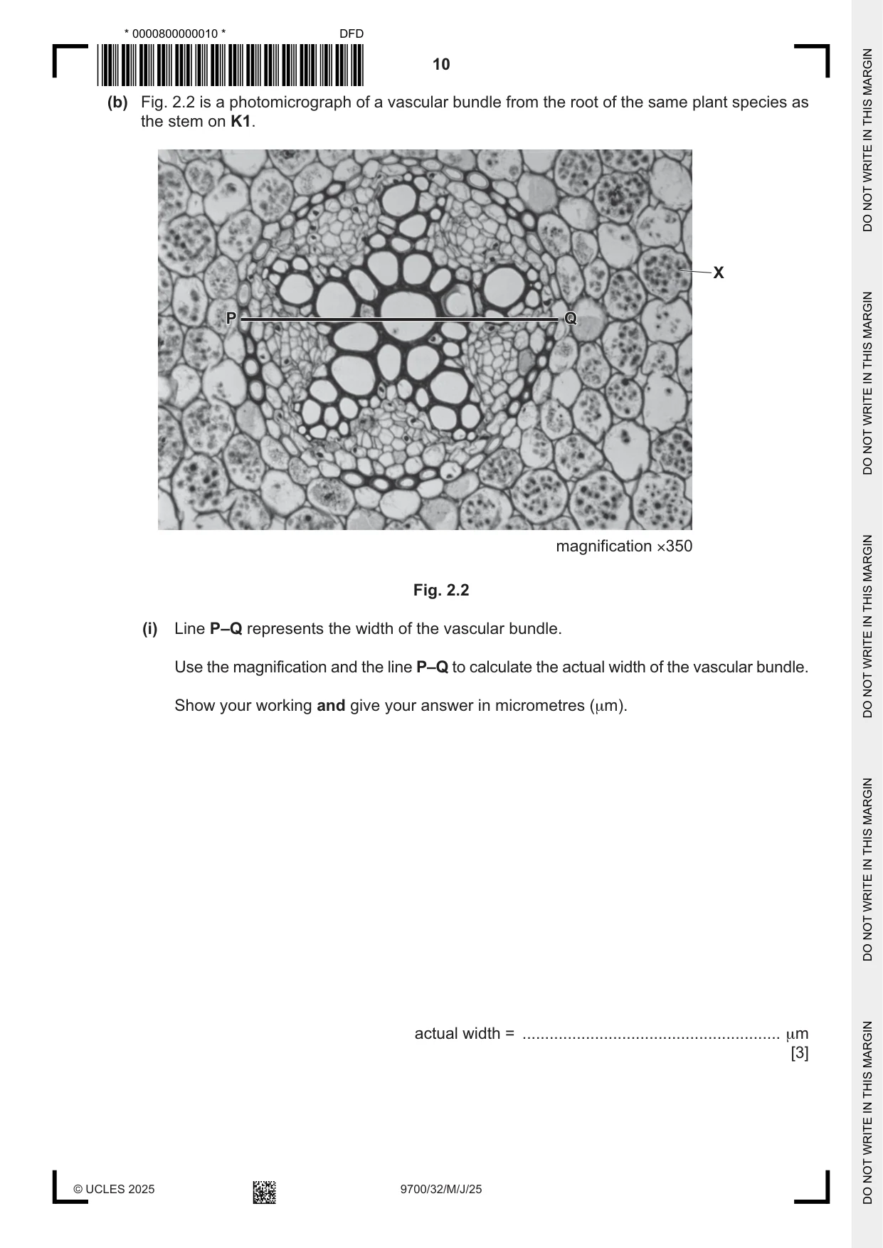 Cambridge A Level Biology 9700 2025 May/June Paper 3 · Variant 2 question paper, page 10 of 12