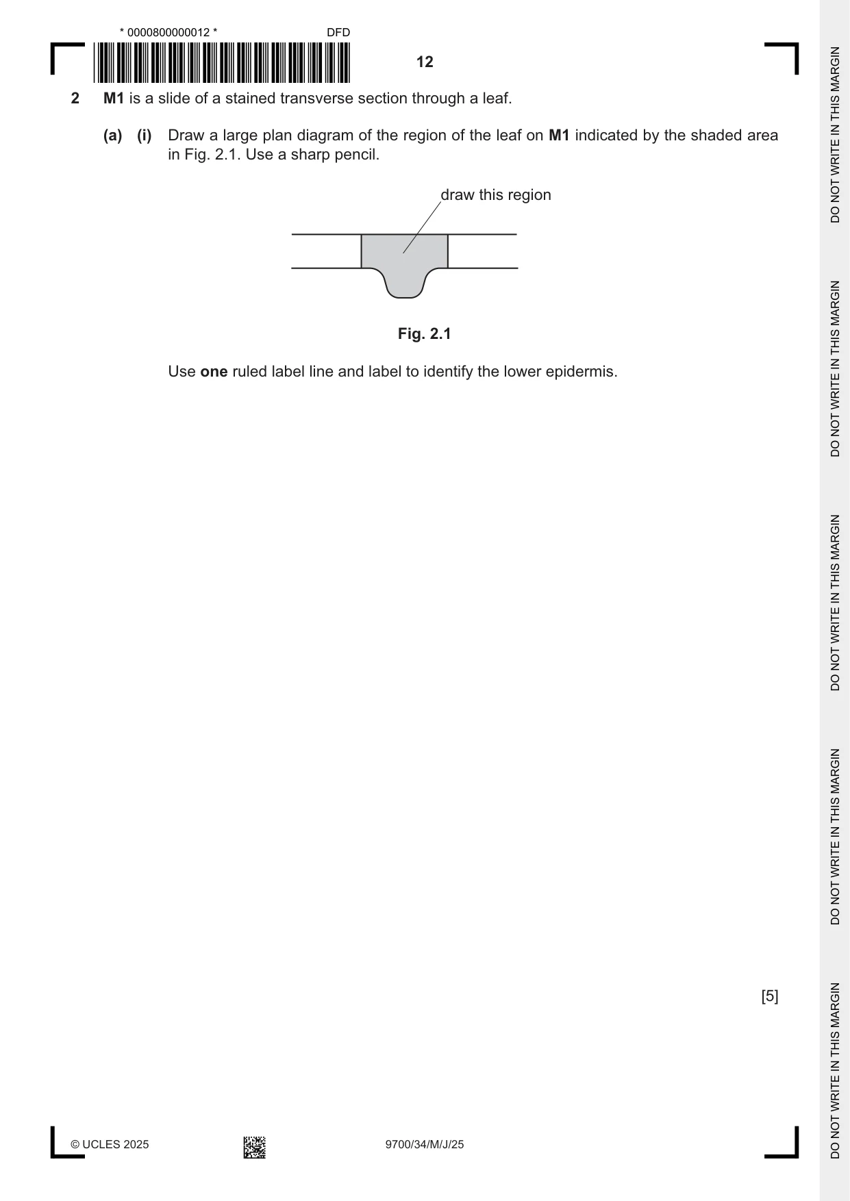 Cambridge A Level Biology 9700 2025 May/June Paper 3 · Variant 4 question paper, page 12 of 16