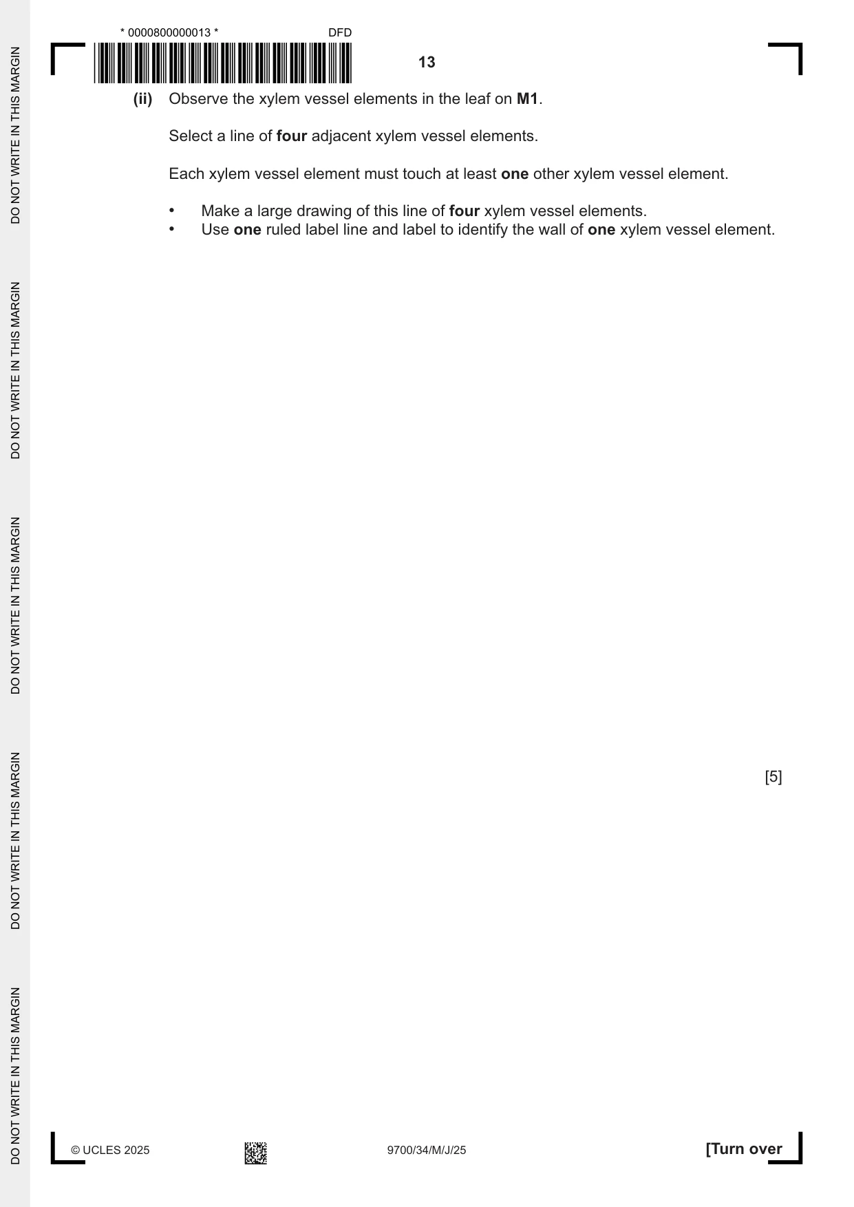 Cambridge A Level Biology 9700 2025 May/June Paper 3 · Variant 4 question paper, page 13 of 16
