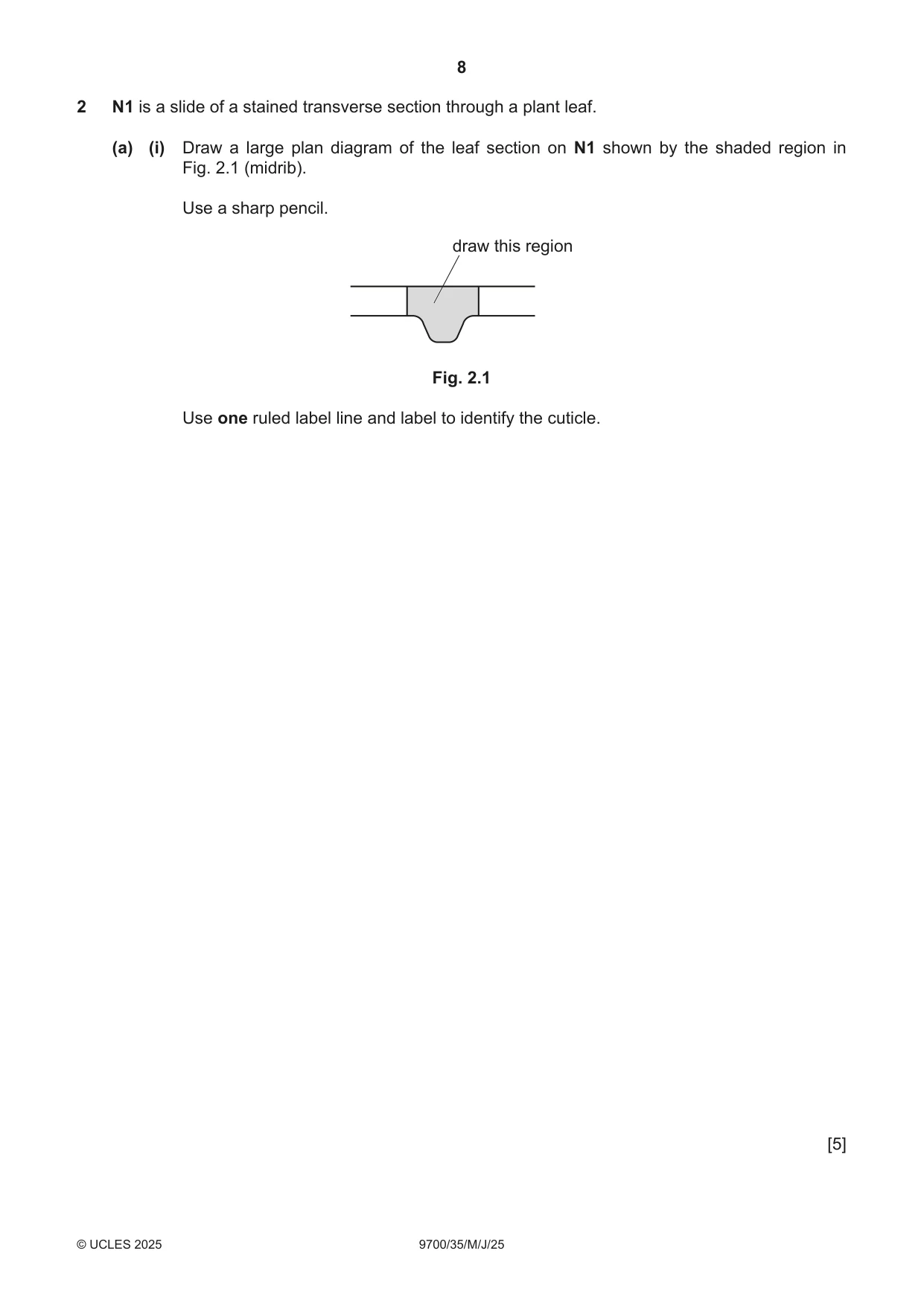 Cambridge A Level Biology 9700 2025 May/June Paper 3 · Variant 5 question paper, page 8 of 12