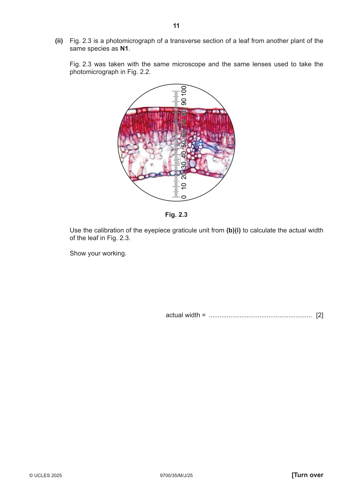 Cambridge A Level Biology 9700 2025 May/June Paper 3 · Variant 5 question paper, page 11 of 12