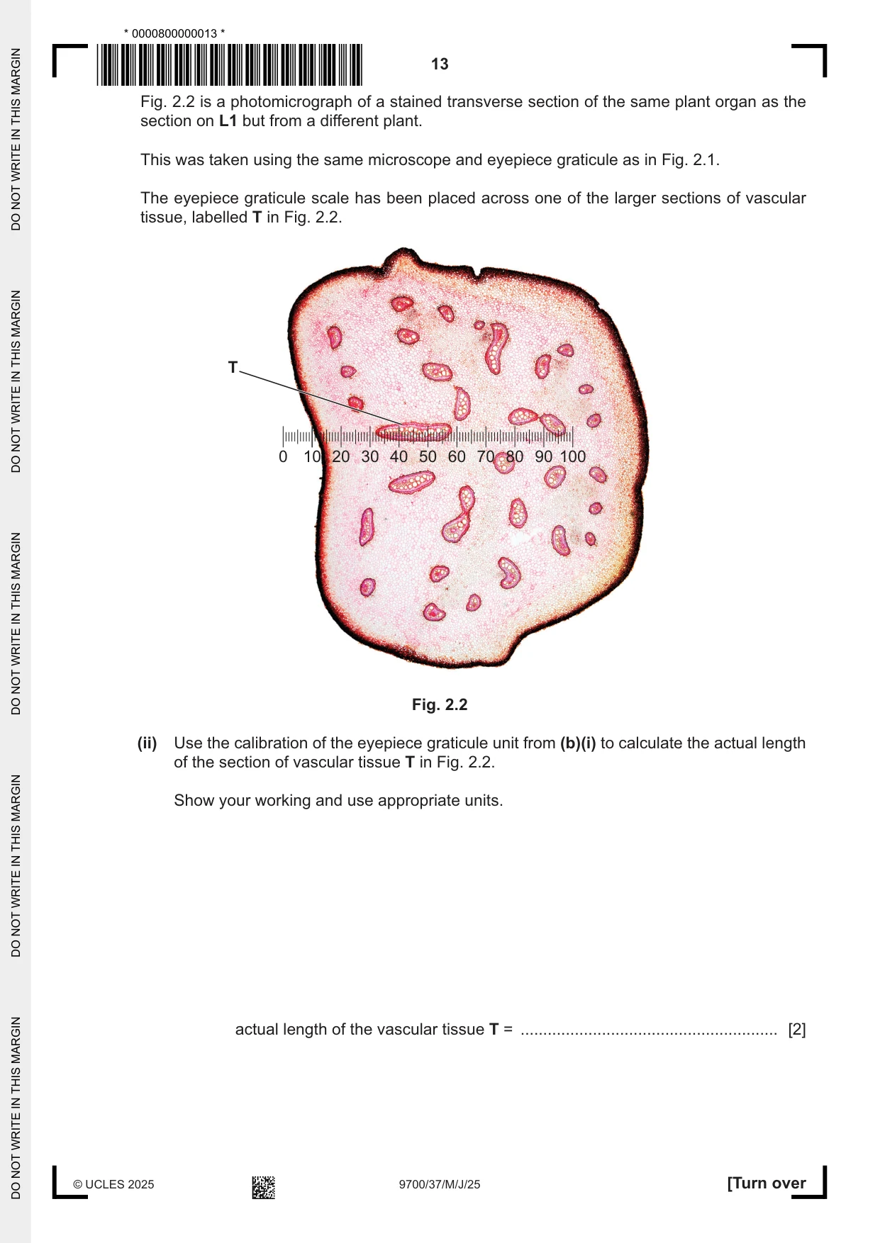 Cambridge A Level Biology 9700 2025 May/June Paper 3 · Variant 7 question paper, page 13 of 16
