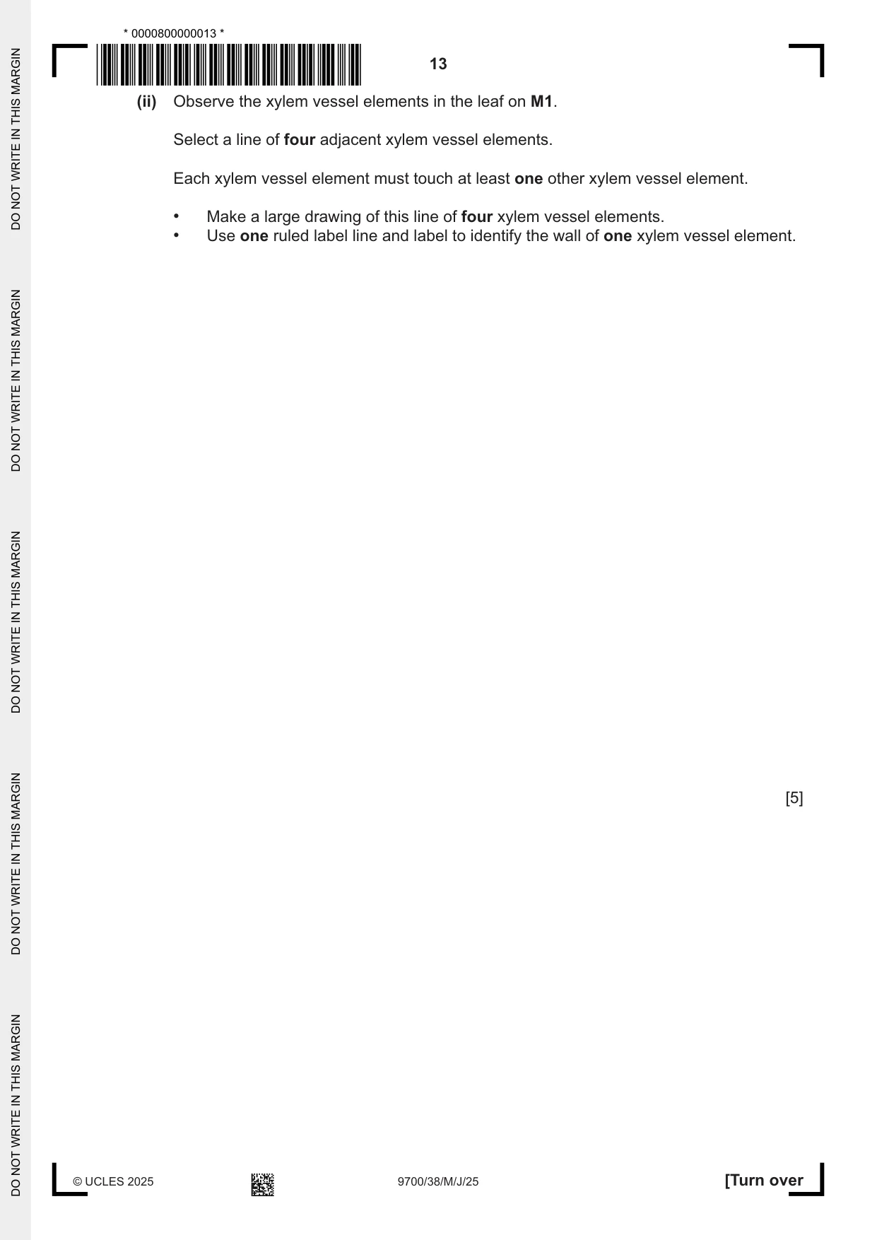 Cambridge A Level Biology 9700 2025 May/June Paper 3 · Variant 8 question paper, page 13 of 16