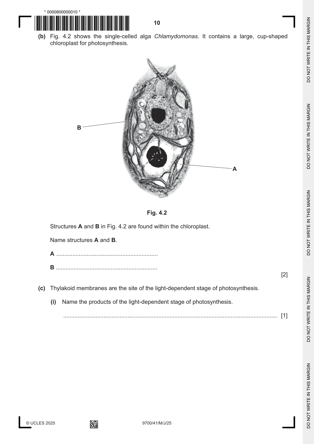 Cambridge A Level Biology 9700 2025 May/June Paper 4 · Variant 1 question paper, page 10 of 24