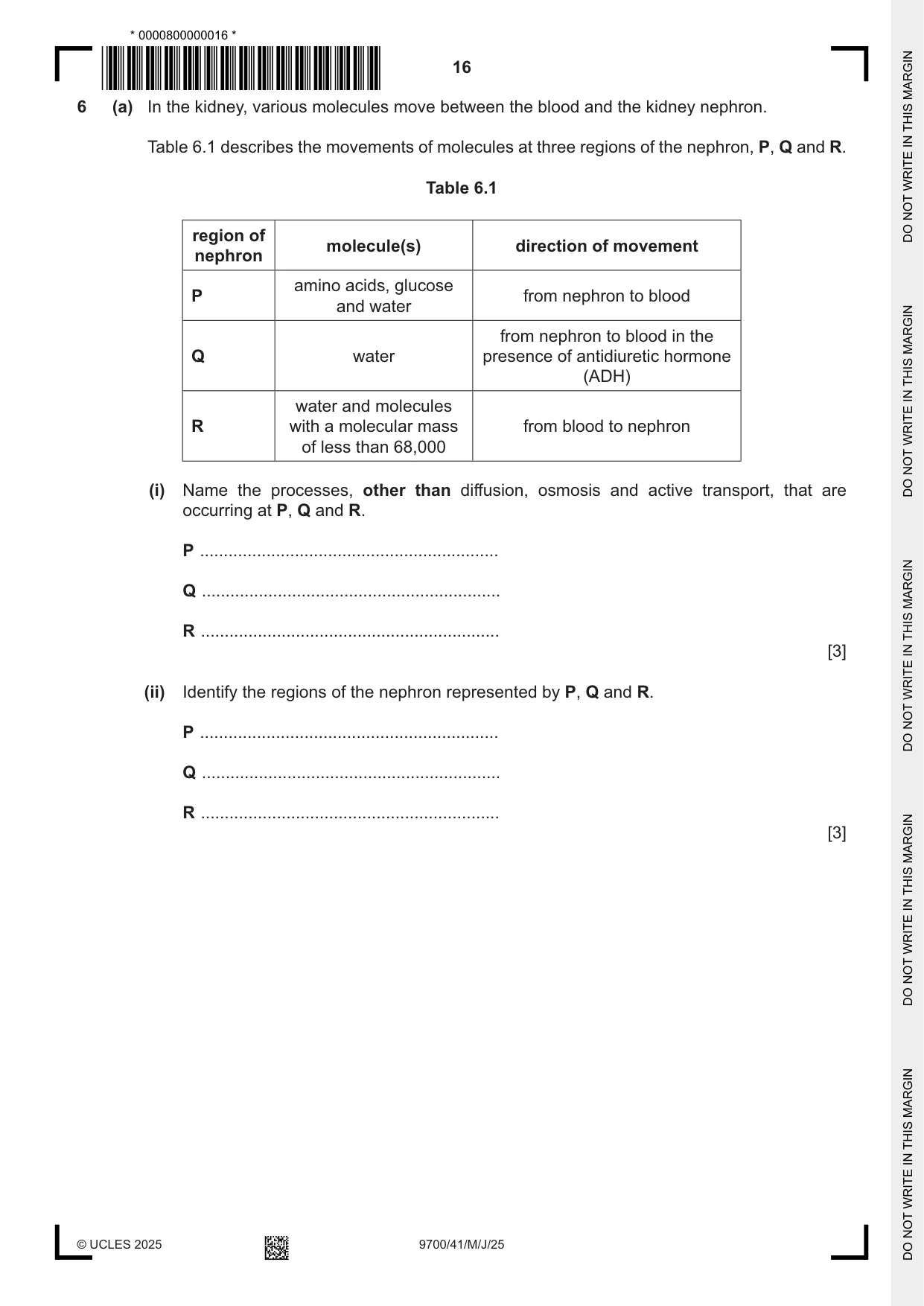 Cambridge A Level Biology 9700 2025 May/June Paper 4 · Variant 1 question paper, page 16 of 24