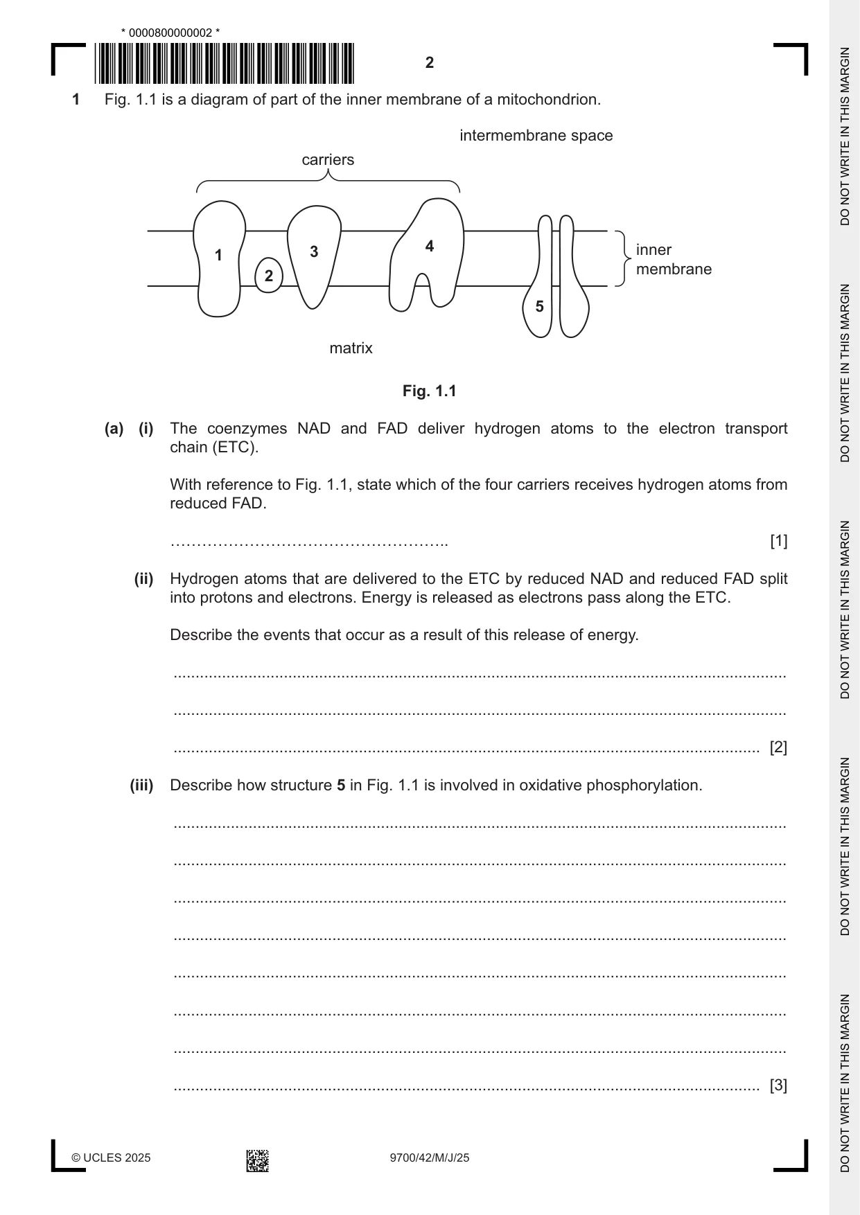 Cambridge A Level Biology 9700 2025 May/June Paper 4 · Variant 2 question paper, page 2 of 24